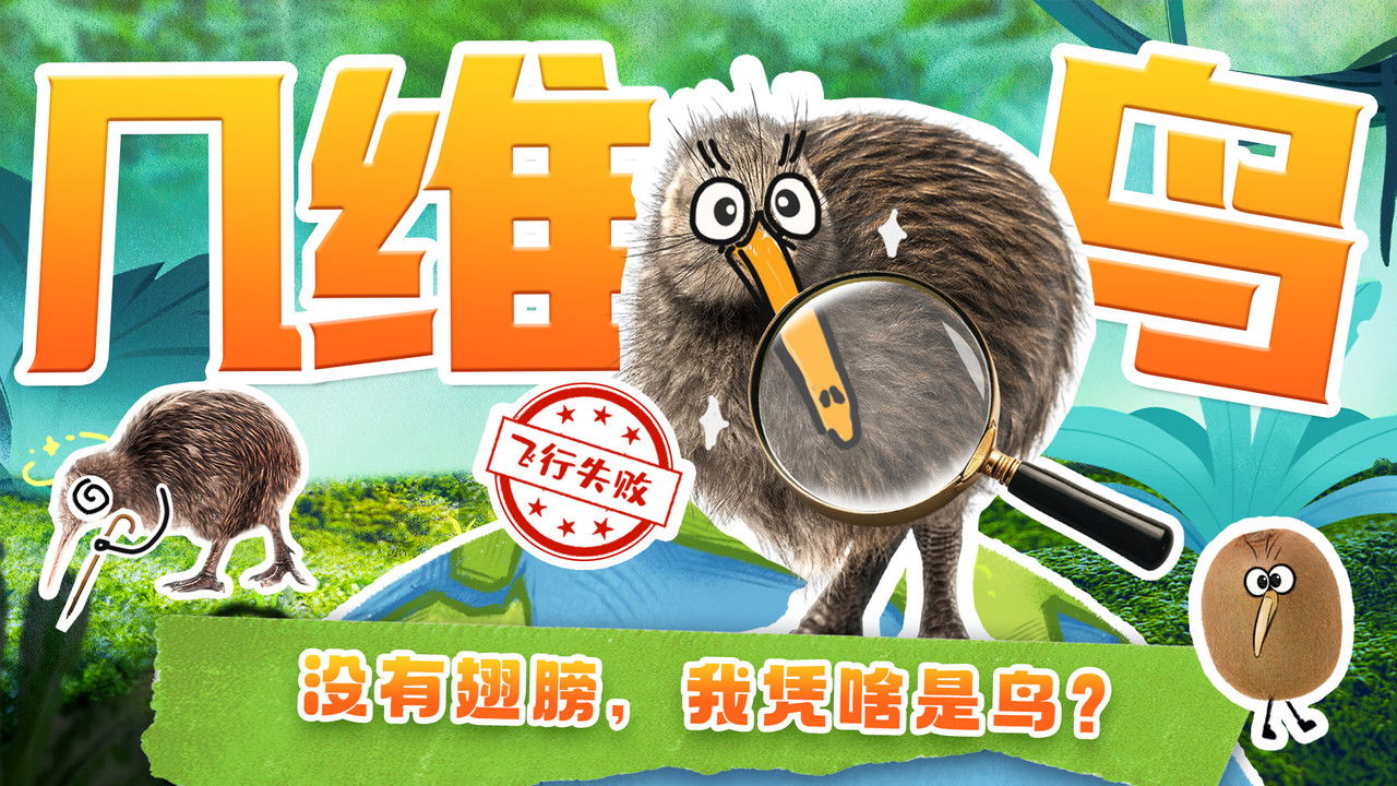 斑马百科探索 — Épisode 46