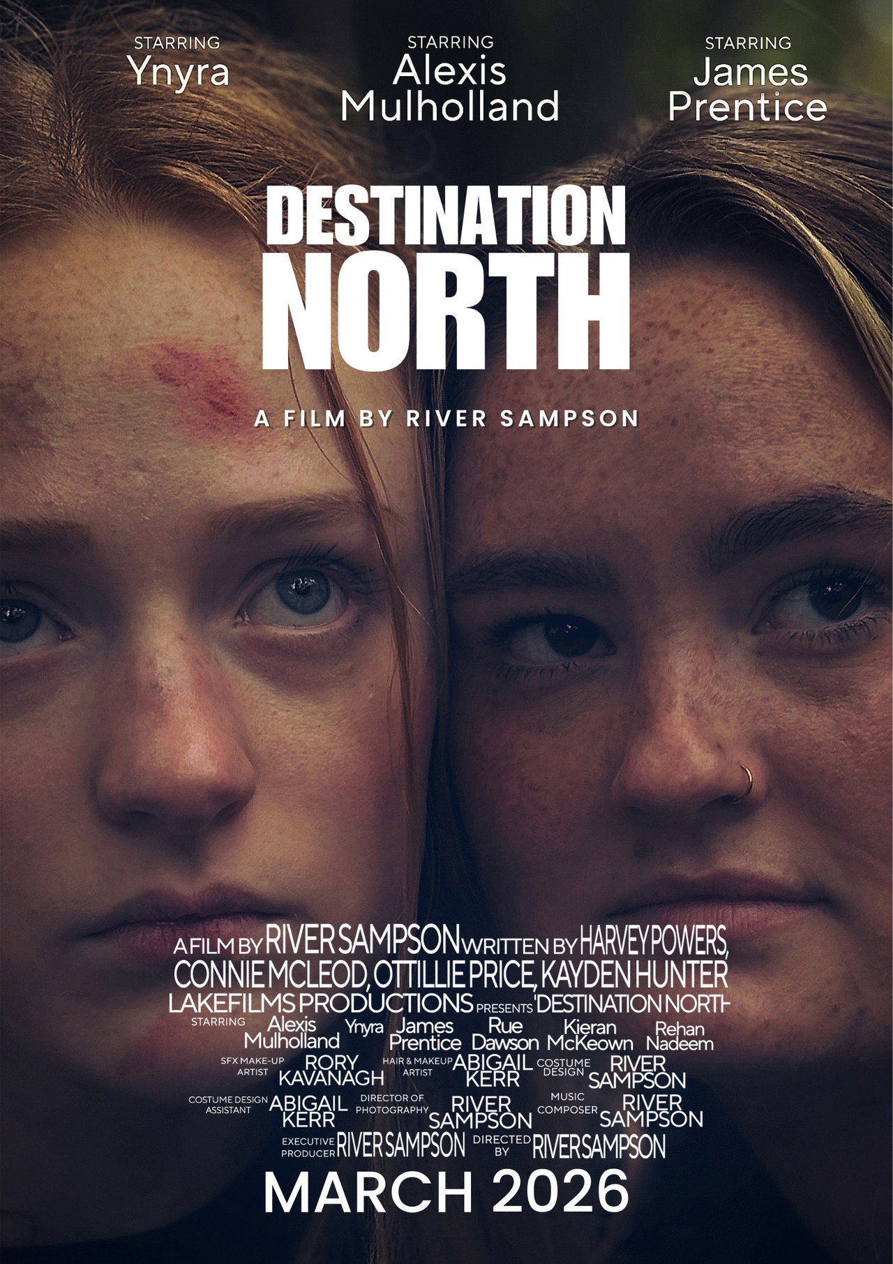Destination North poster
