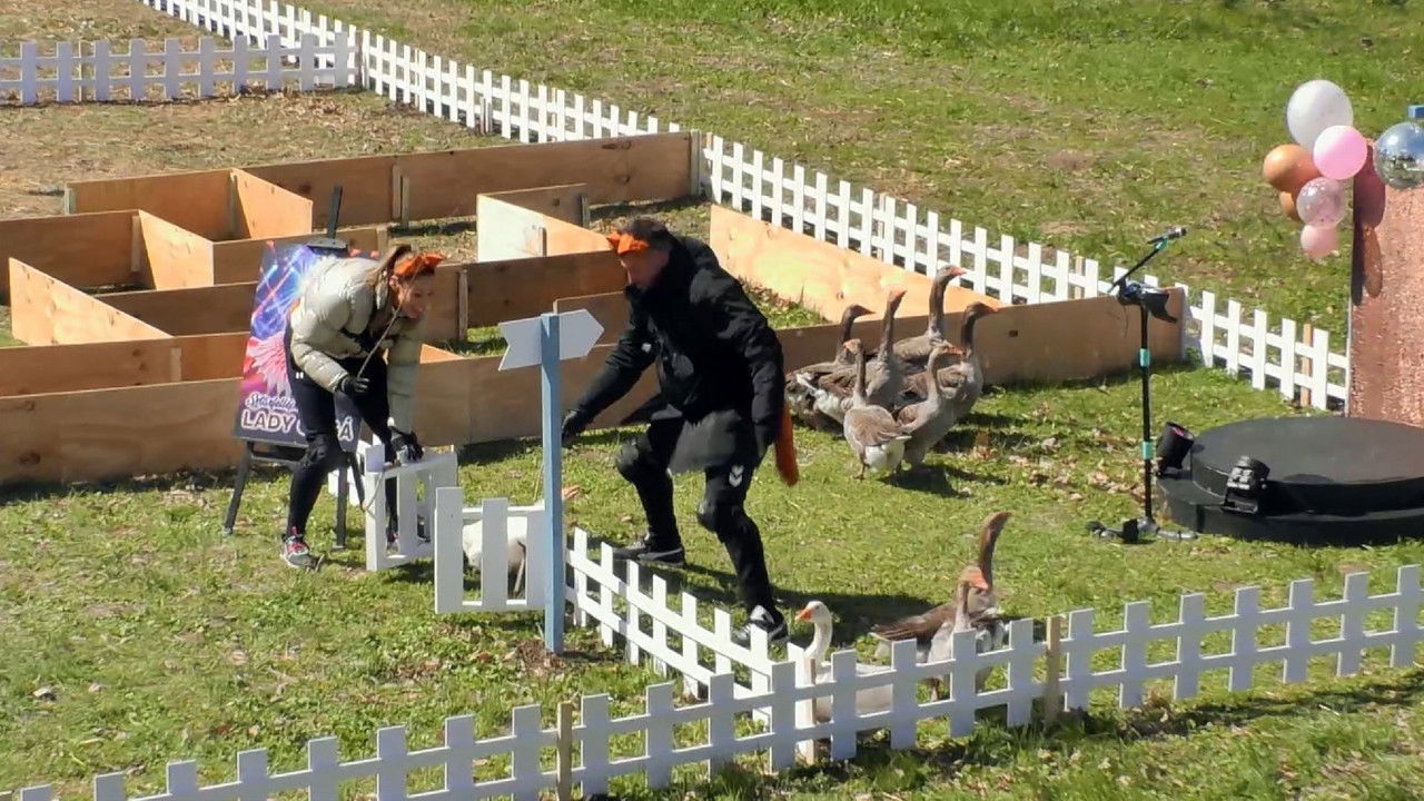 Exek csatája backdrop