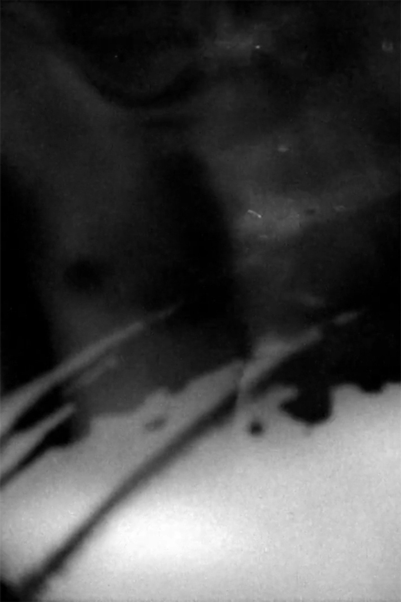 Metamorphosis filmaffisch