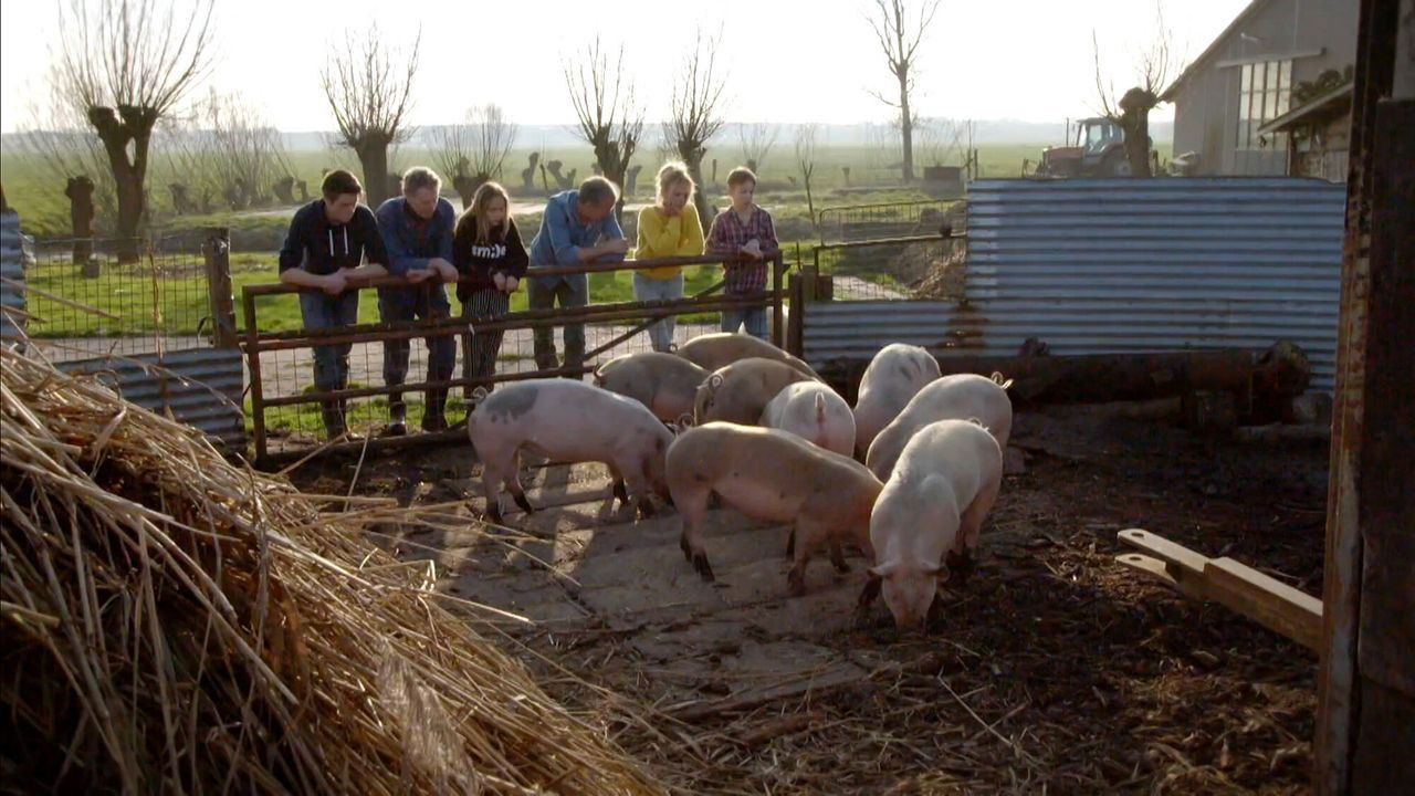 Onze boerderij — Épisode 2