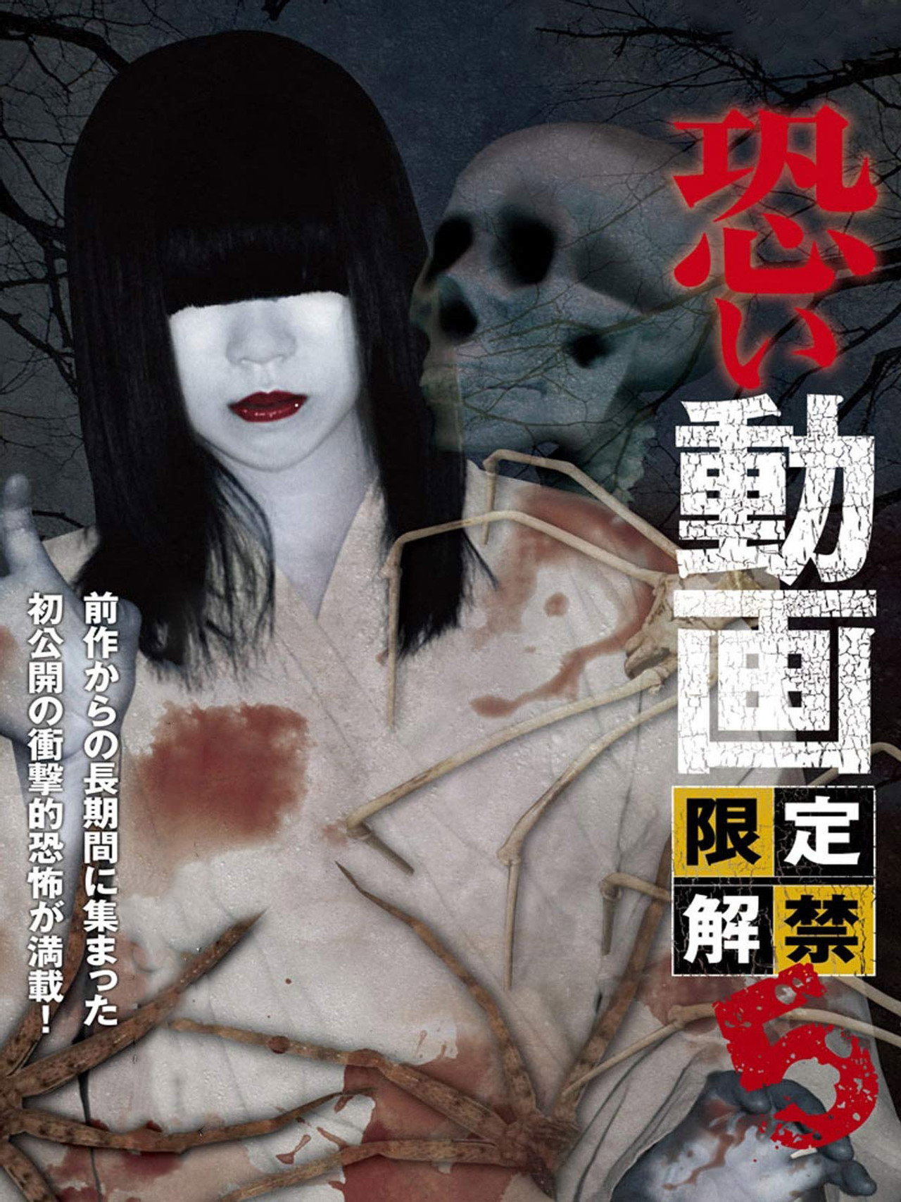 恐い動画　限定解禁5 filmaffisch