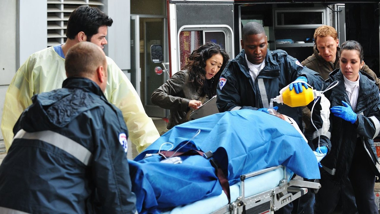 Grey's Anatomy - Season 6 Episode 16 : Perfect Little Accident