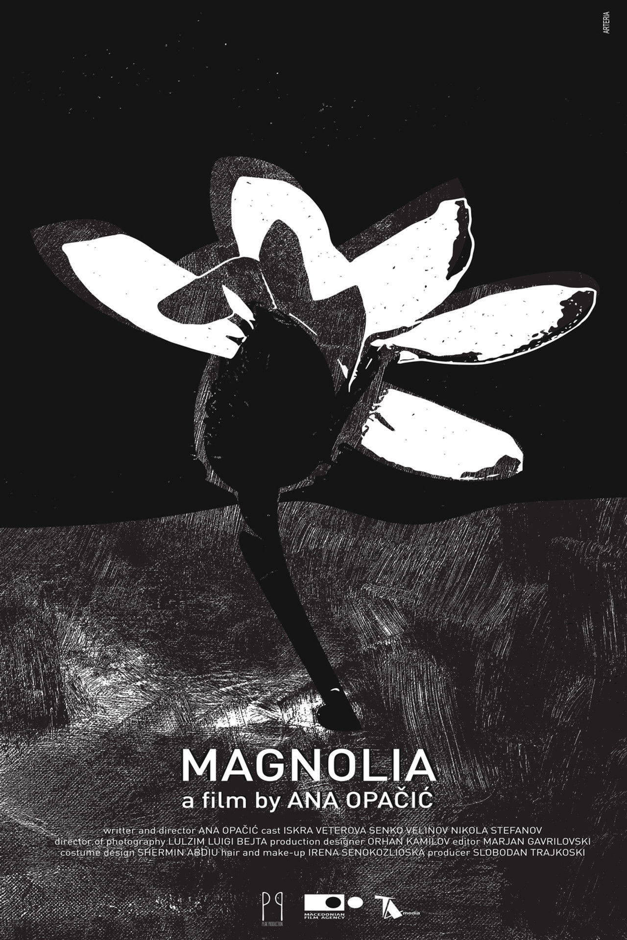 Magnolia Backdrop