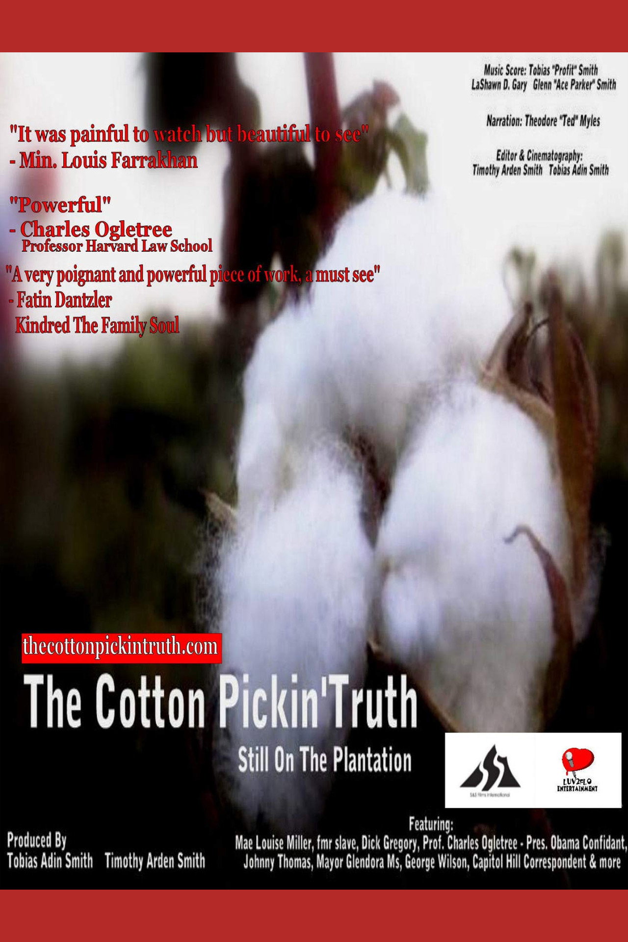 The Cotton Pickin Truth... Still on the Plantation