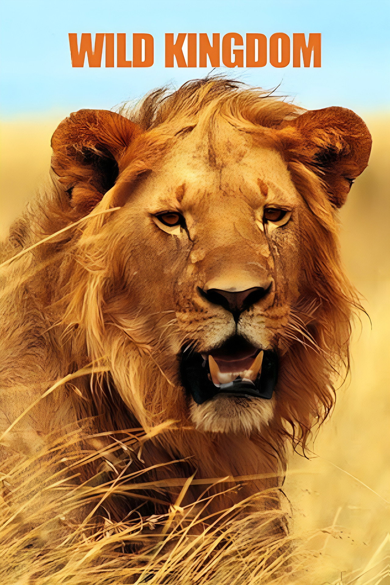 Wild Kingdom