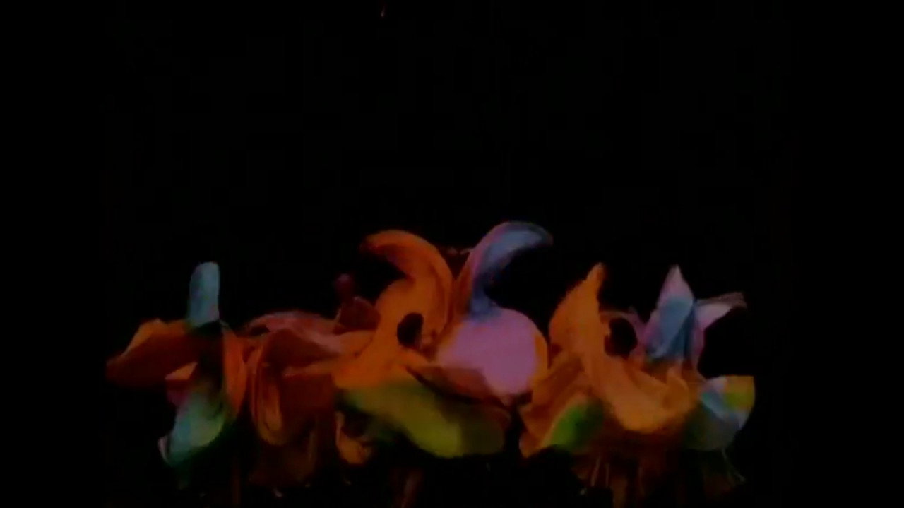 Butterfly Dances