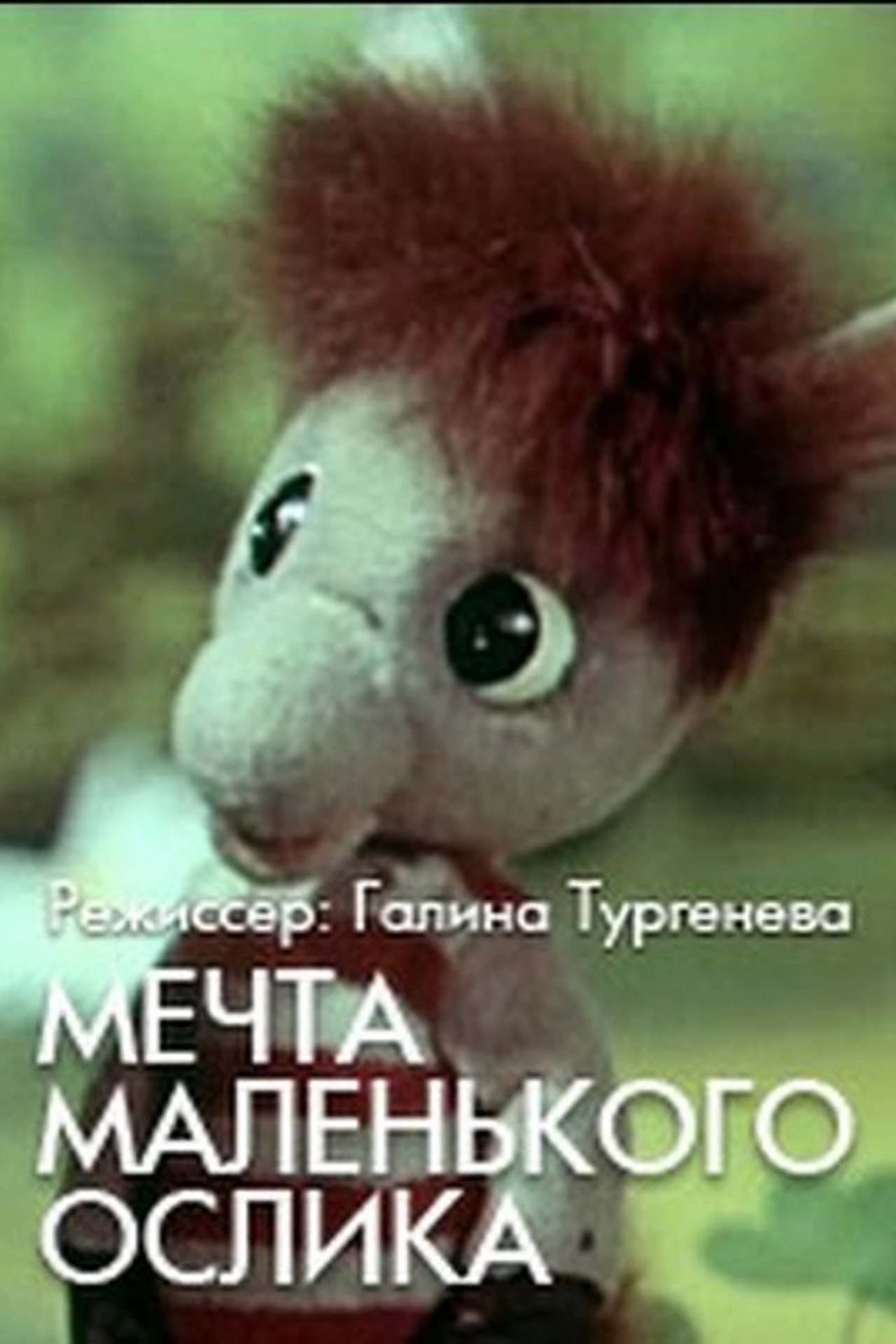The Little Donkey's Dream