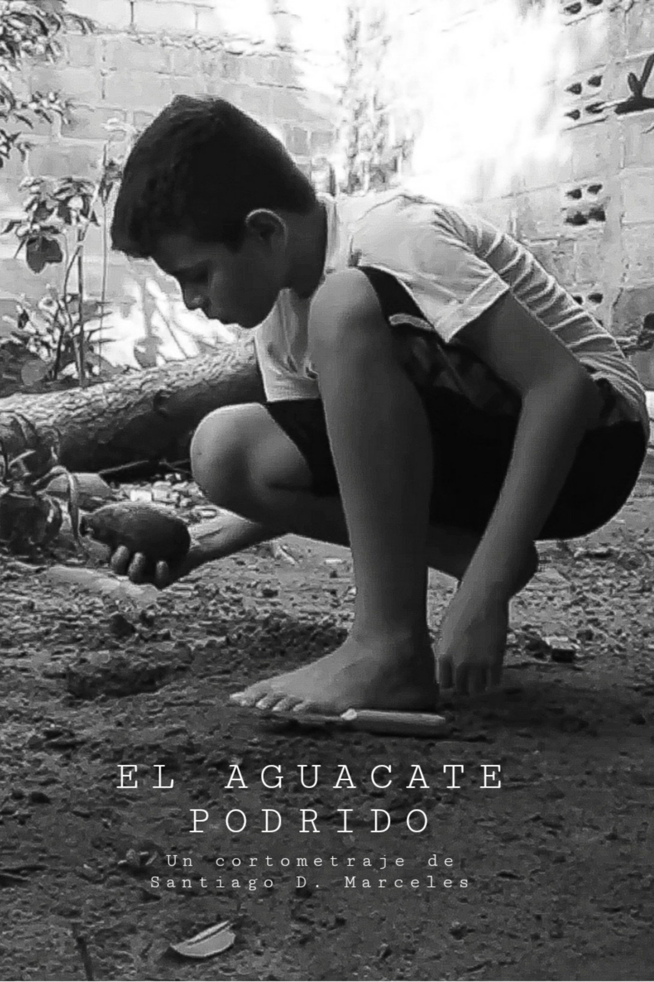 El aguacate podrido Backdrop