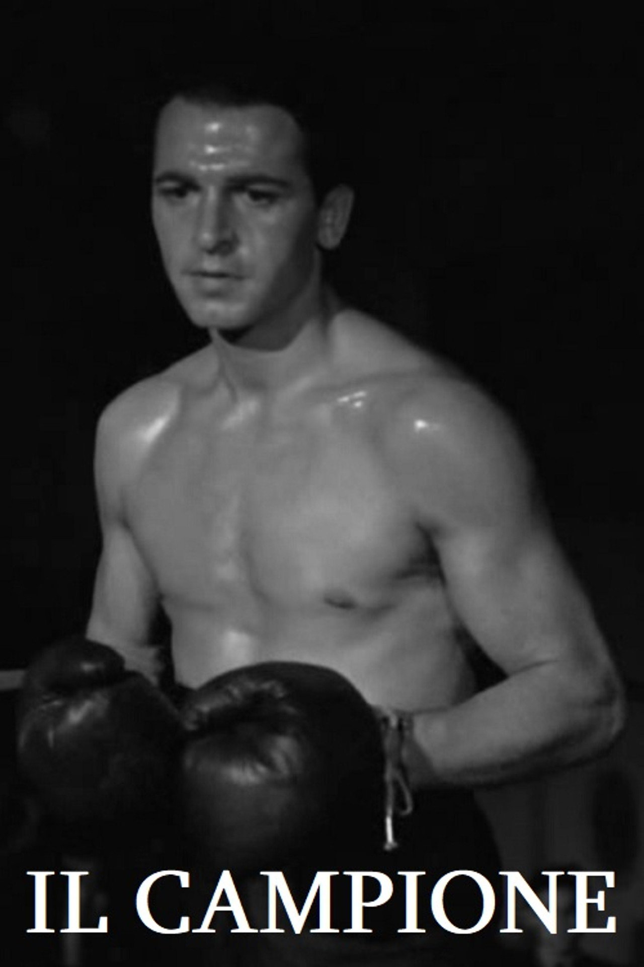 Il campione