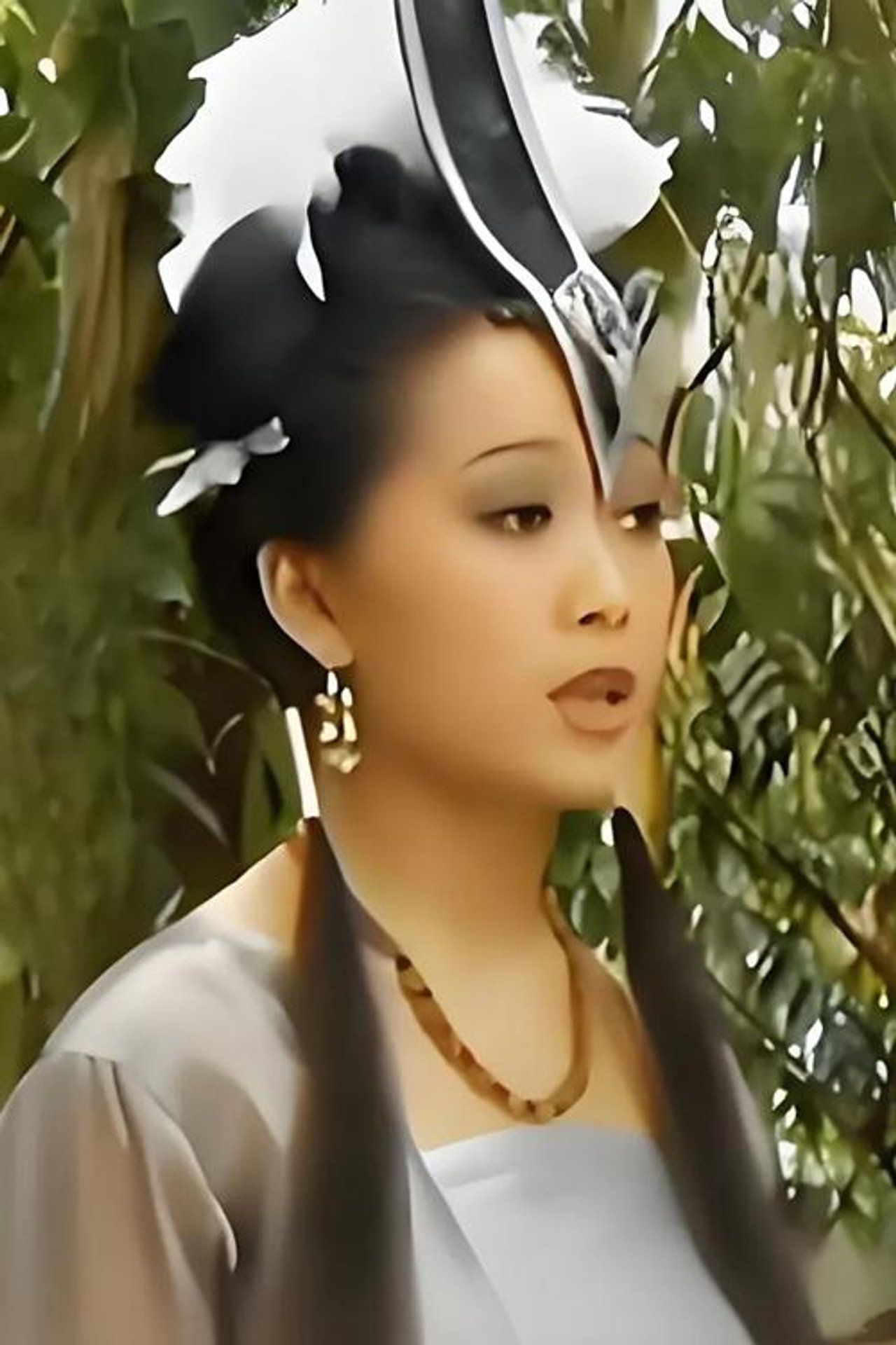 Dan Zhu