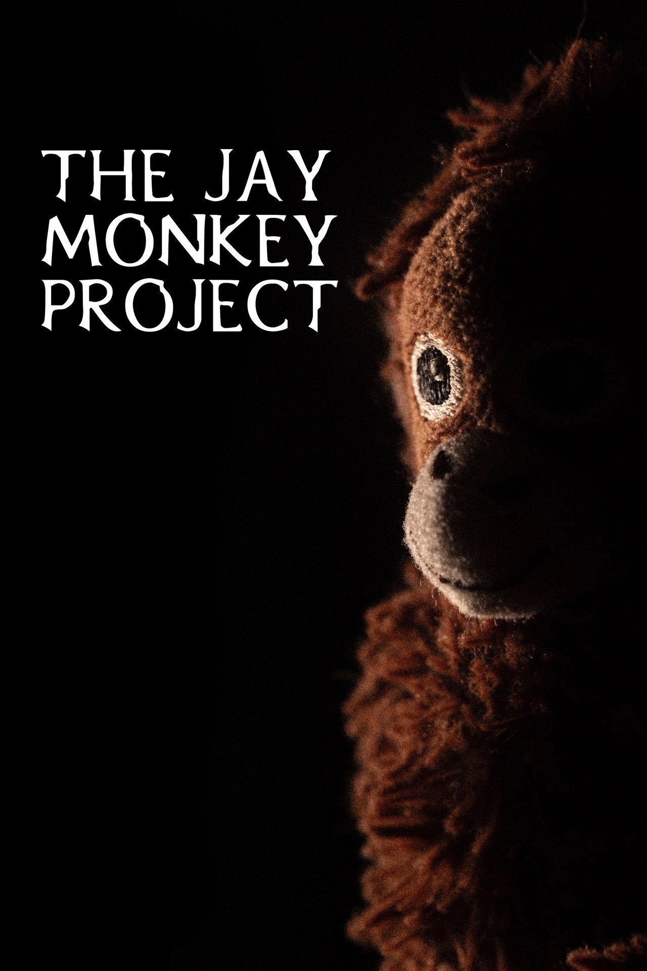 The Jay Monkey Project filmaffisch