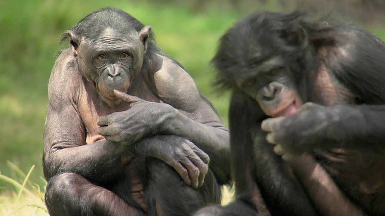 Wild Ones — Épisode 4