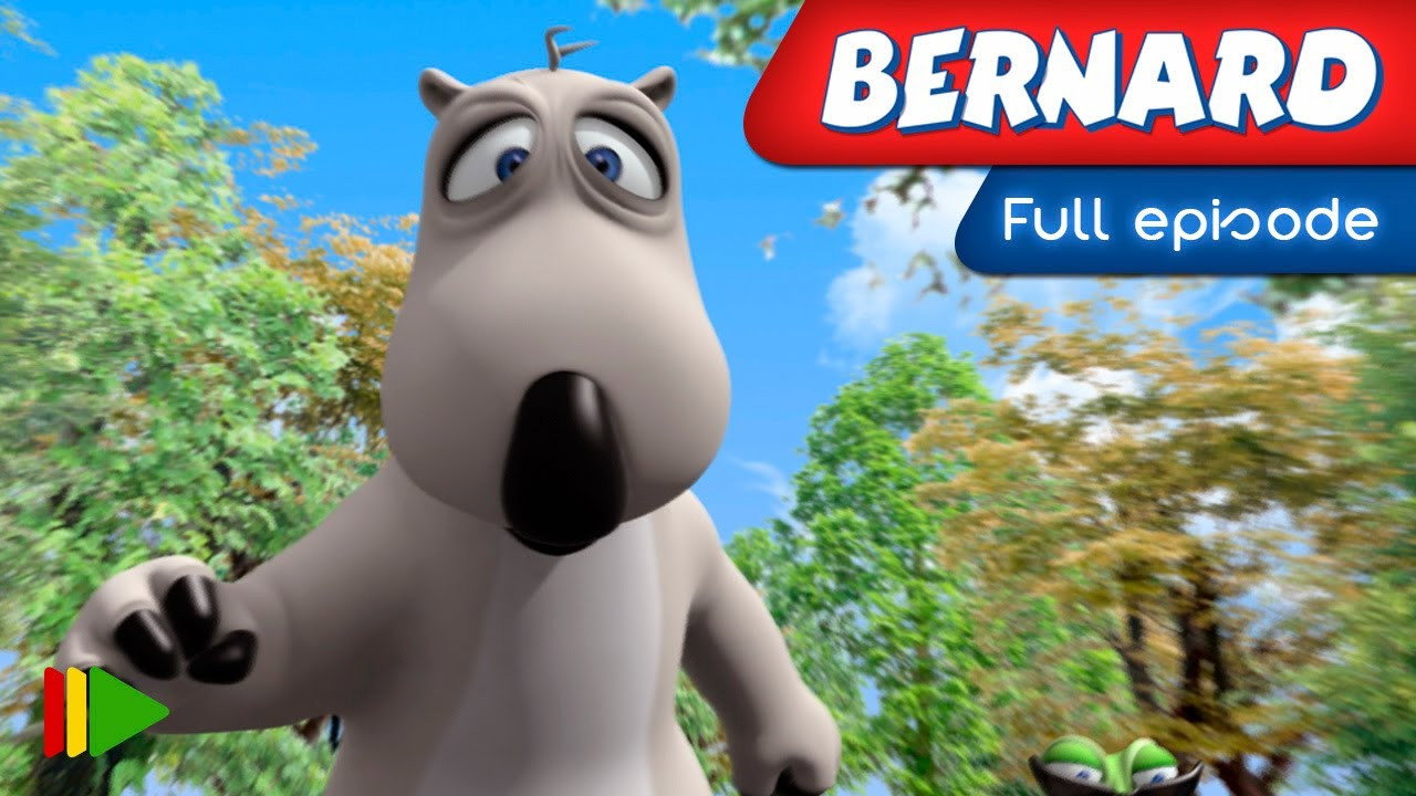 Bernard backdrop