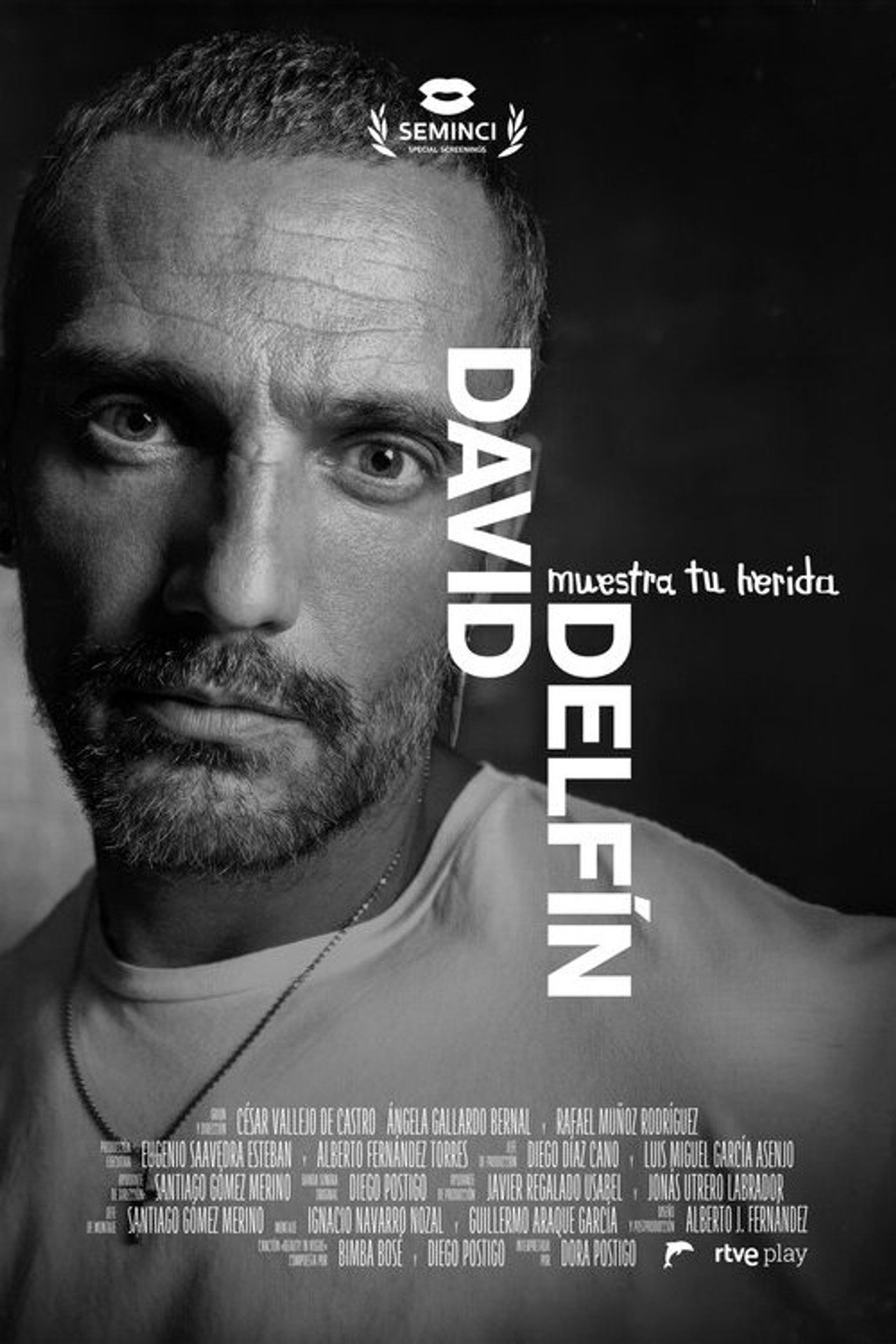 David Delfín, muestra tu herida filmaffisch