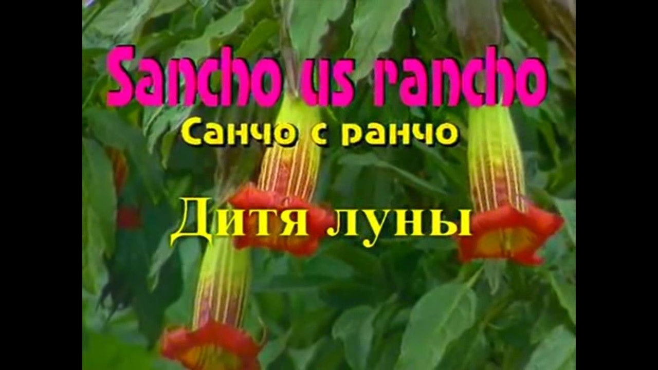 Санчо с ранчо — Épisode 10