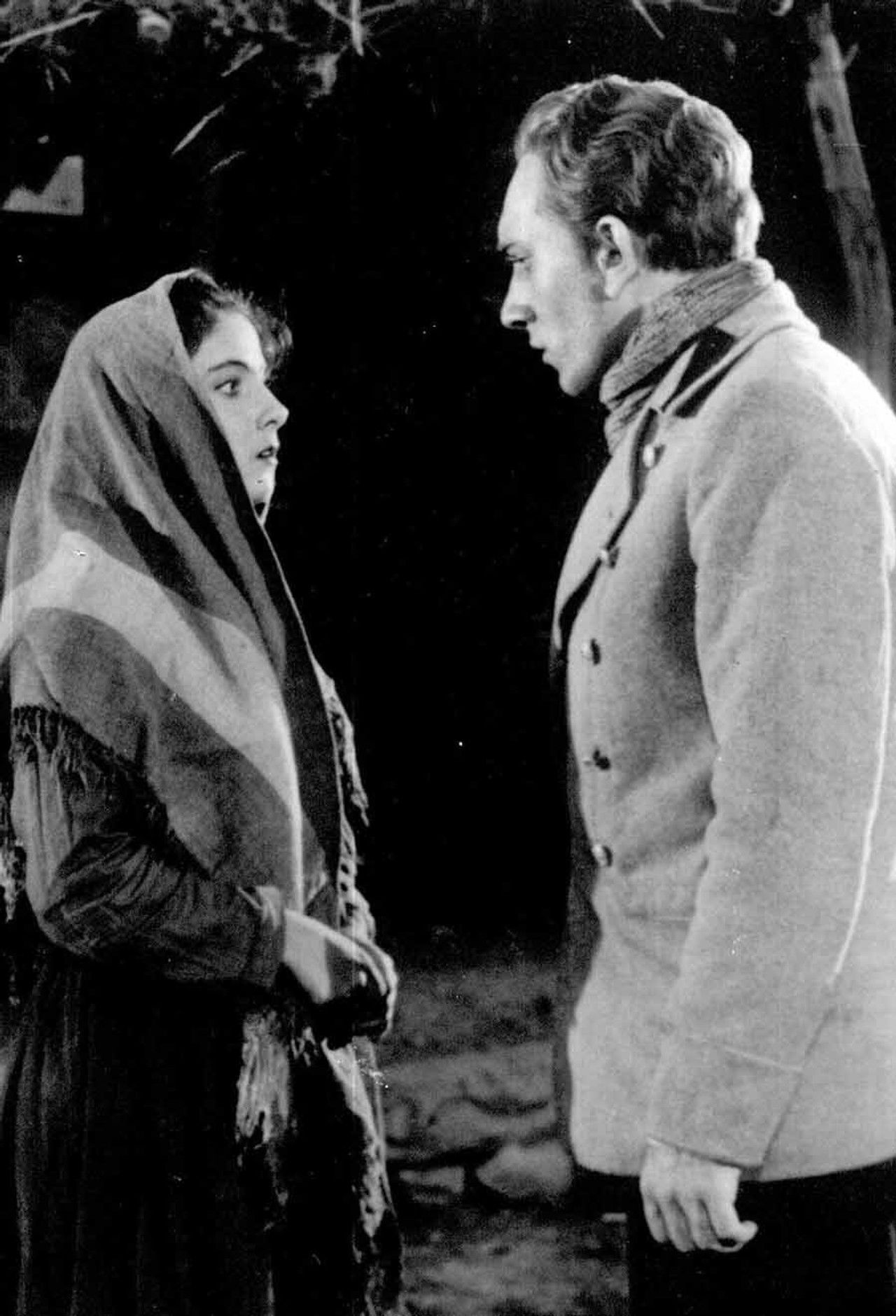 Before the Dawn Backdrop