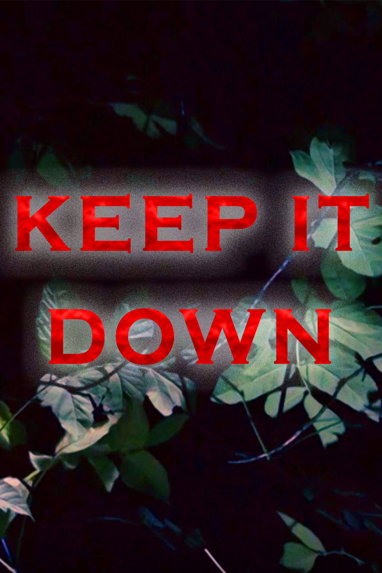 Keep It Down Backdrop