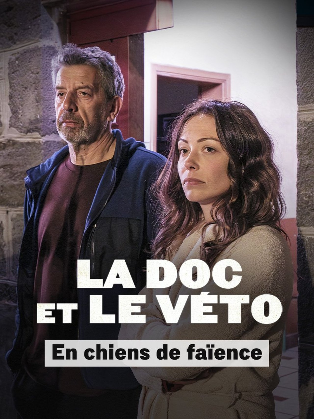 مشاهدة فيلم La doc et le véto : En chiens de faïence مترجم بدون اعلانات - بوستر