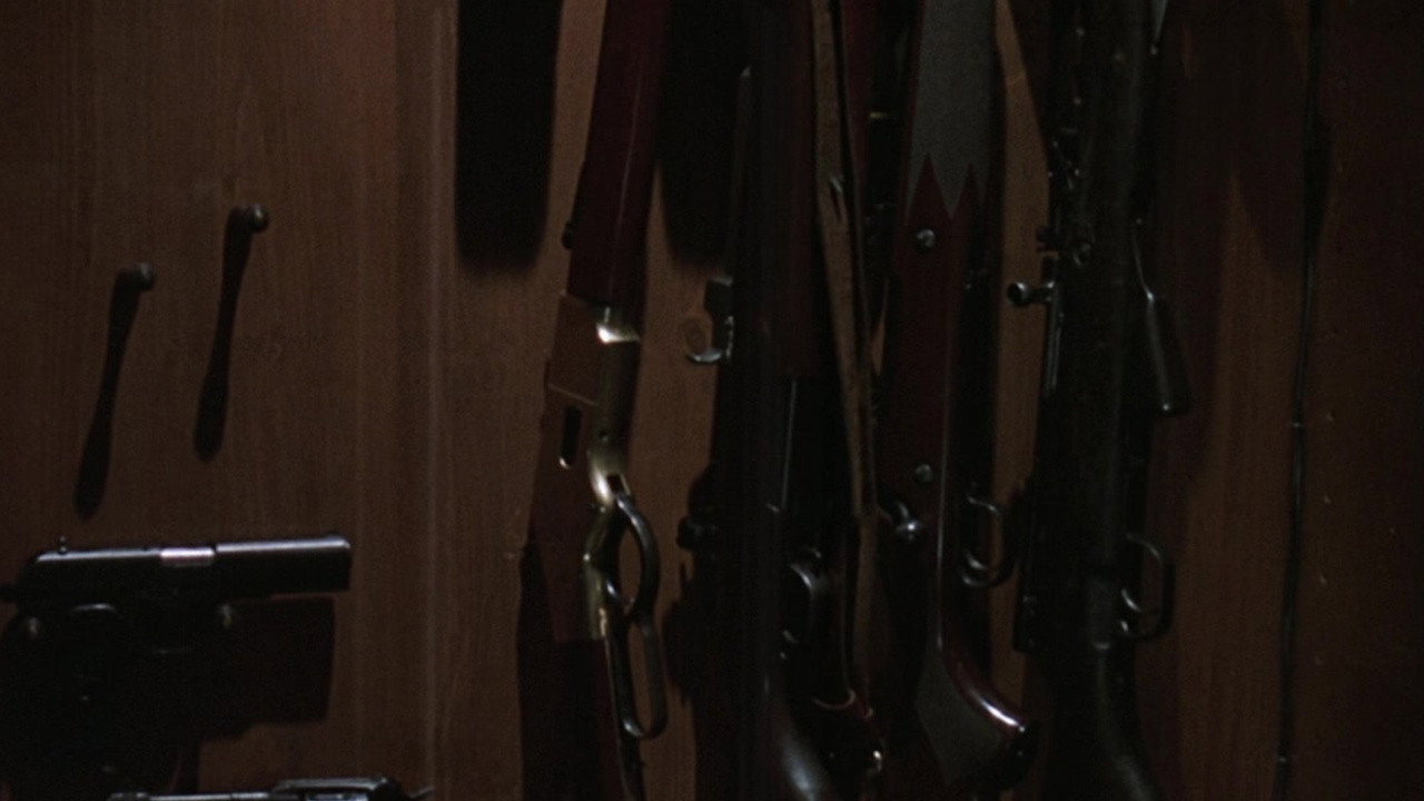 American Beauty background 32