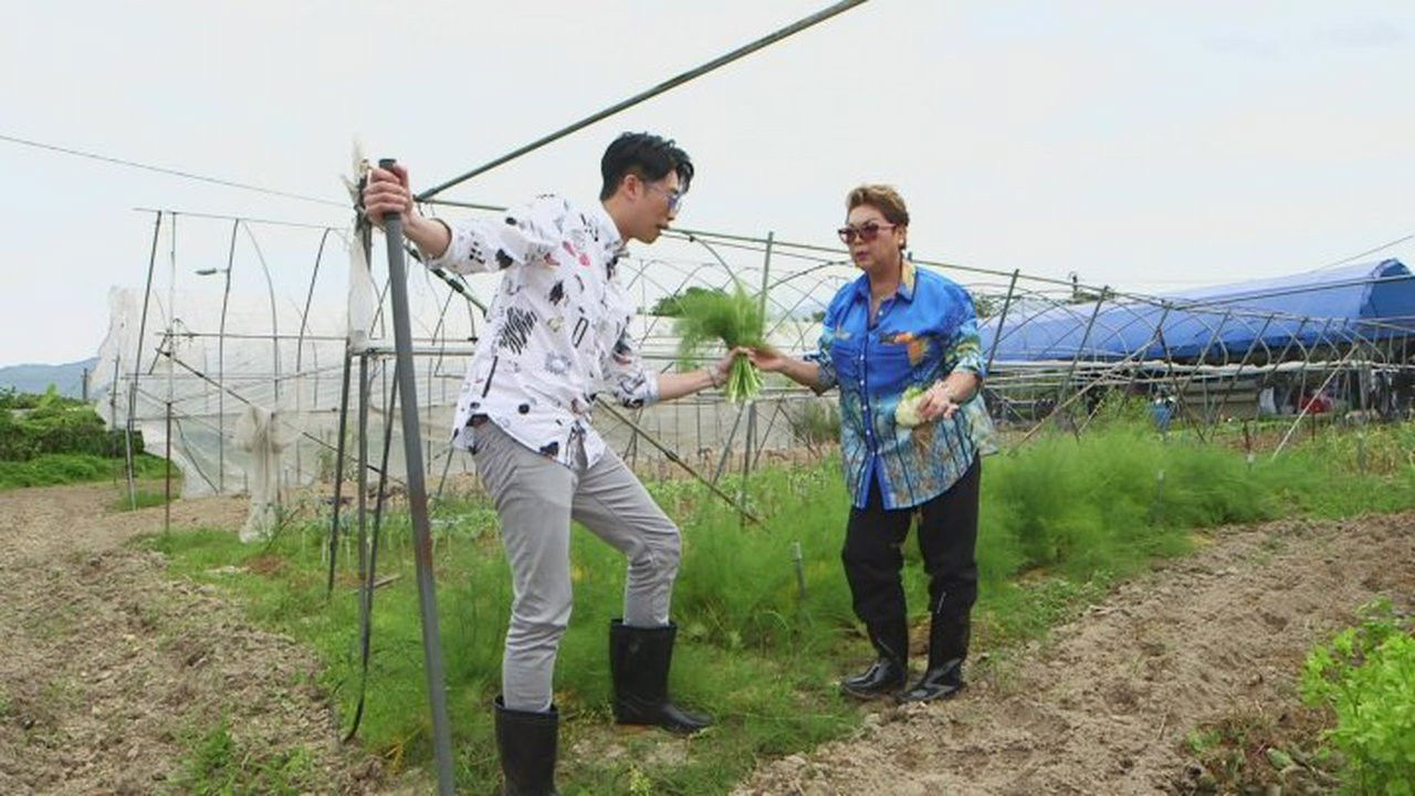 食平D — Épisode 21