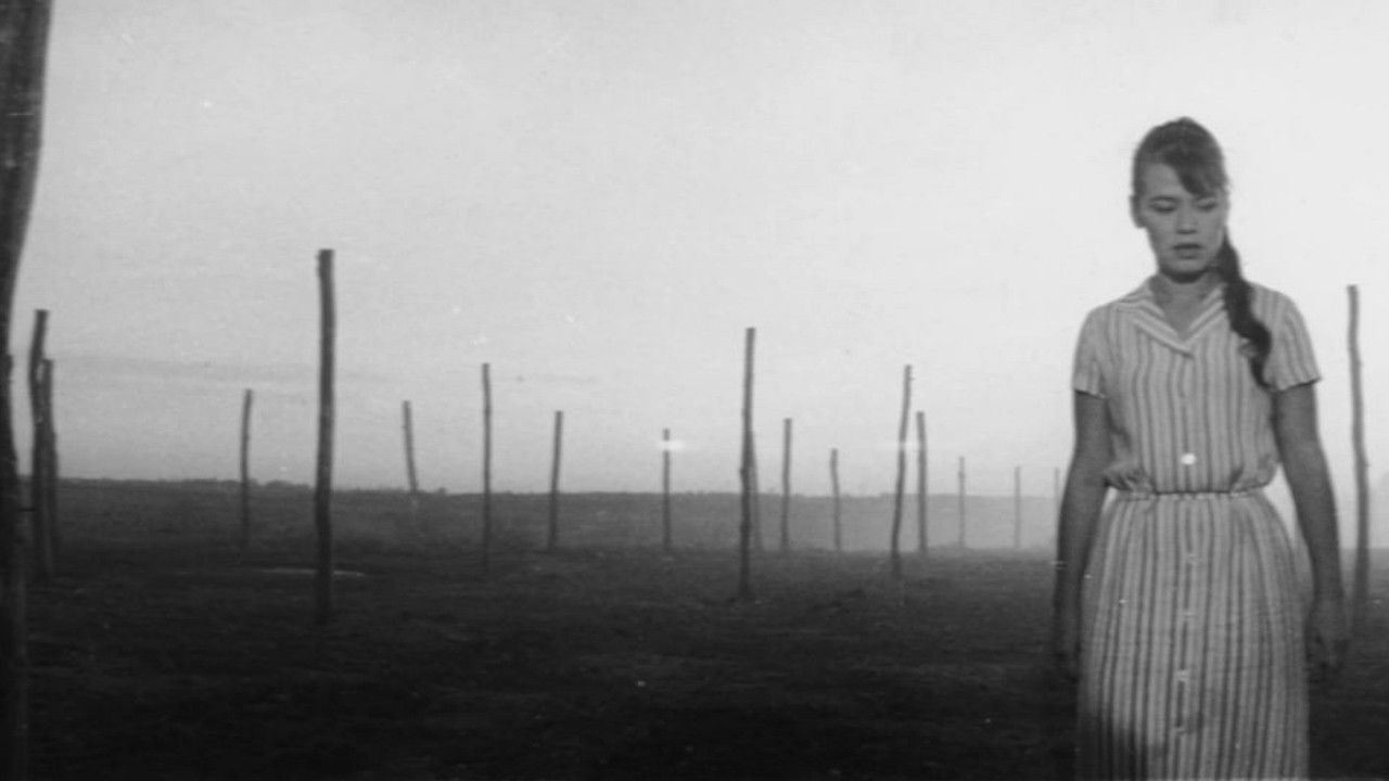 Зайвий хліб