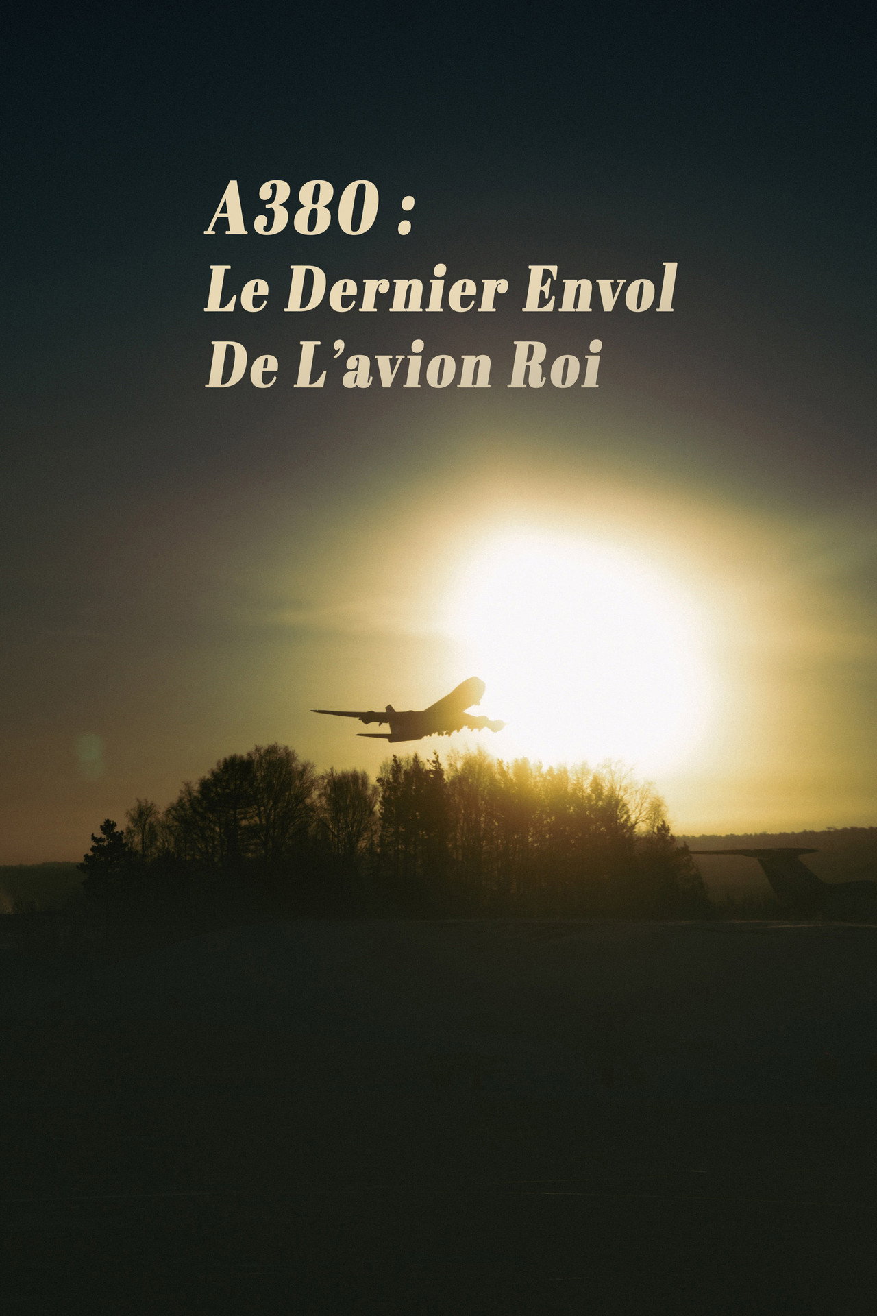 A380 : Le Dernier Envol de lavion roi filmaffisch