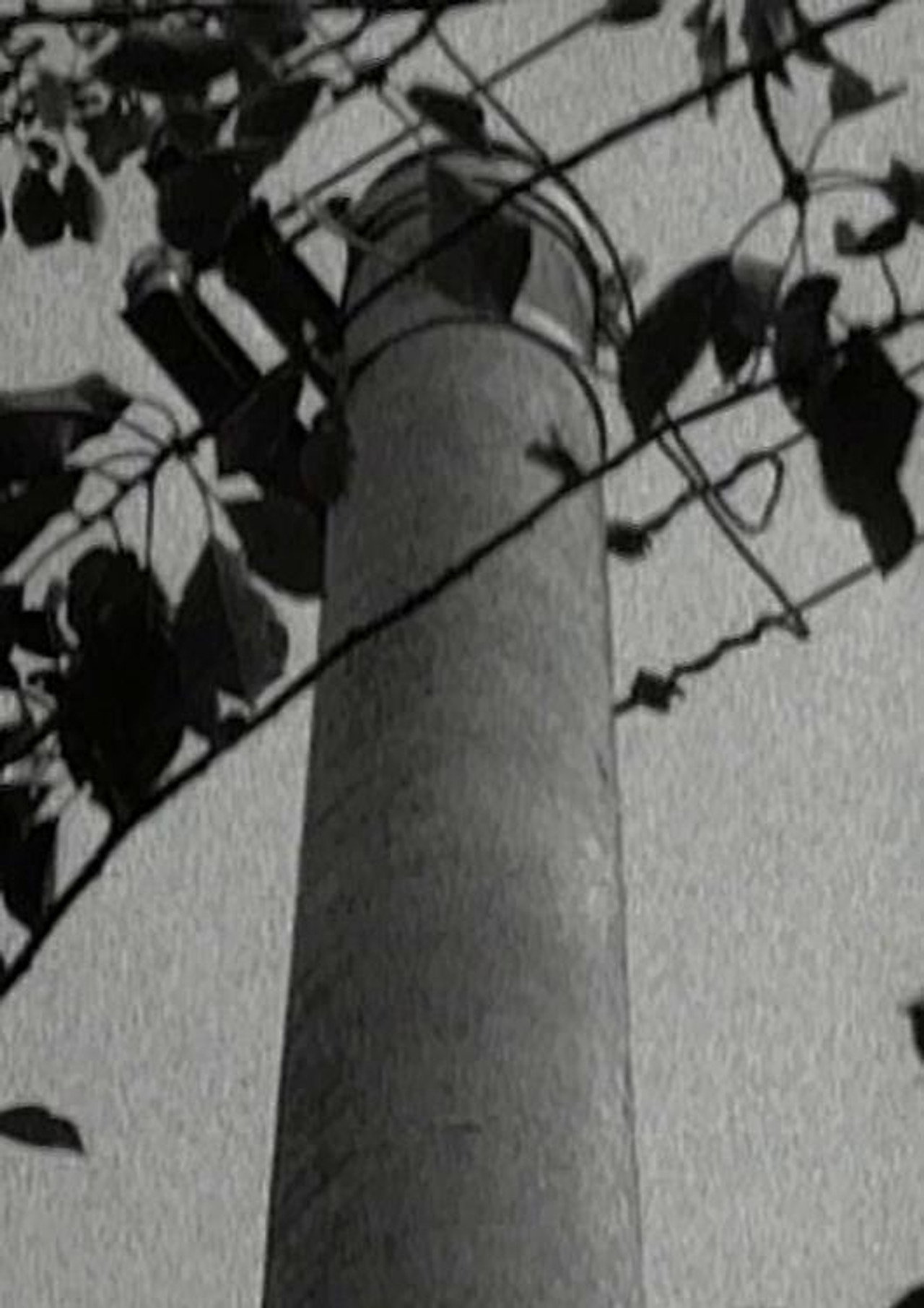 Pistrino filmaffisch