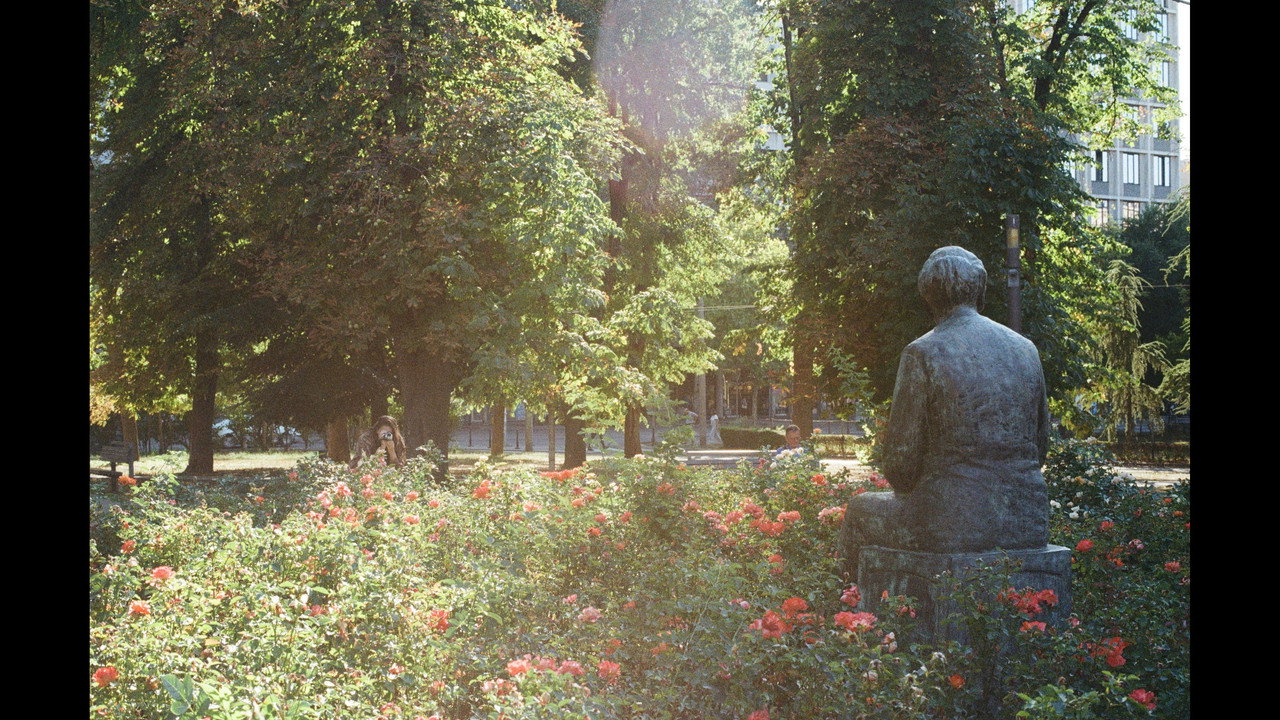 Yours, From Belgrade