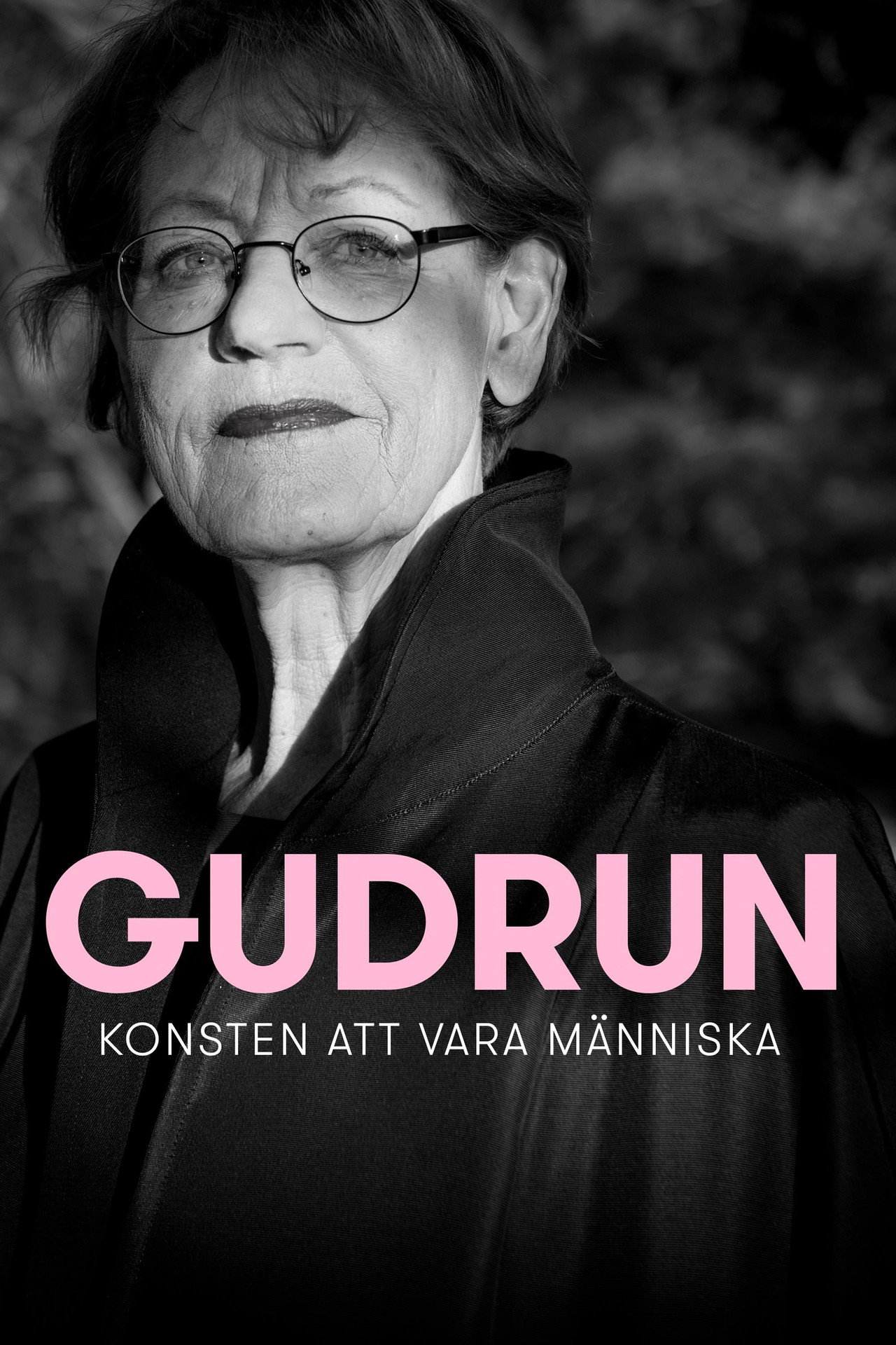 Gudrun - konsten att vara människa filmaffisch