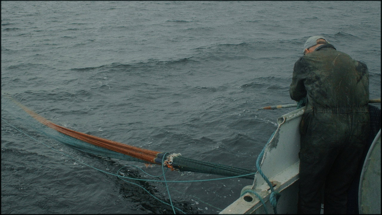 Caught in the net still 8