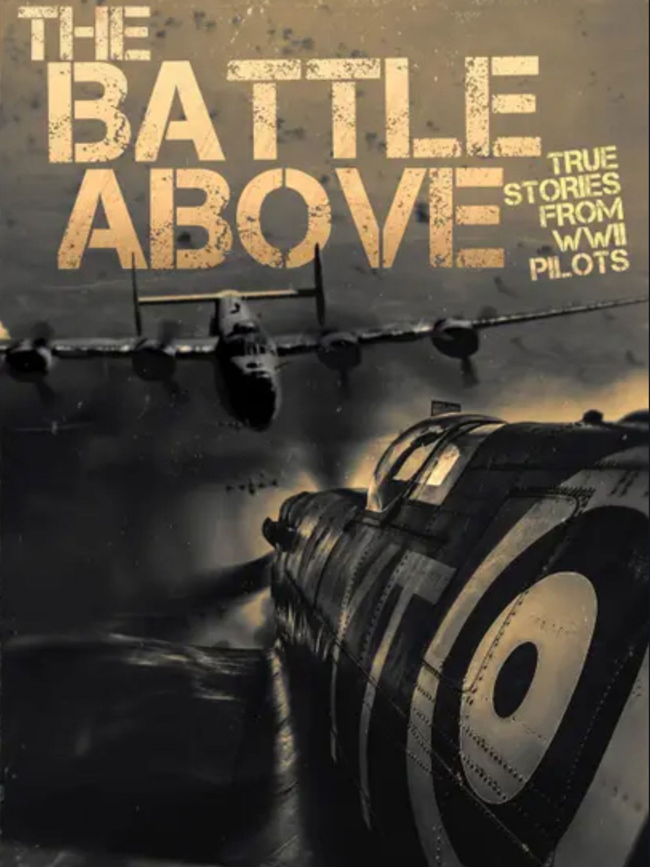 The Battle Above: True Stories From WWII Pilots Backdrop