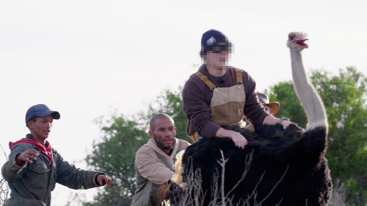 無制限探險隊 — Épisode 6