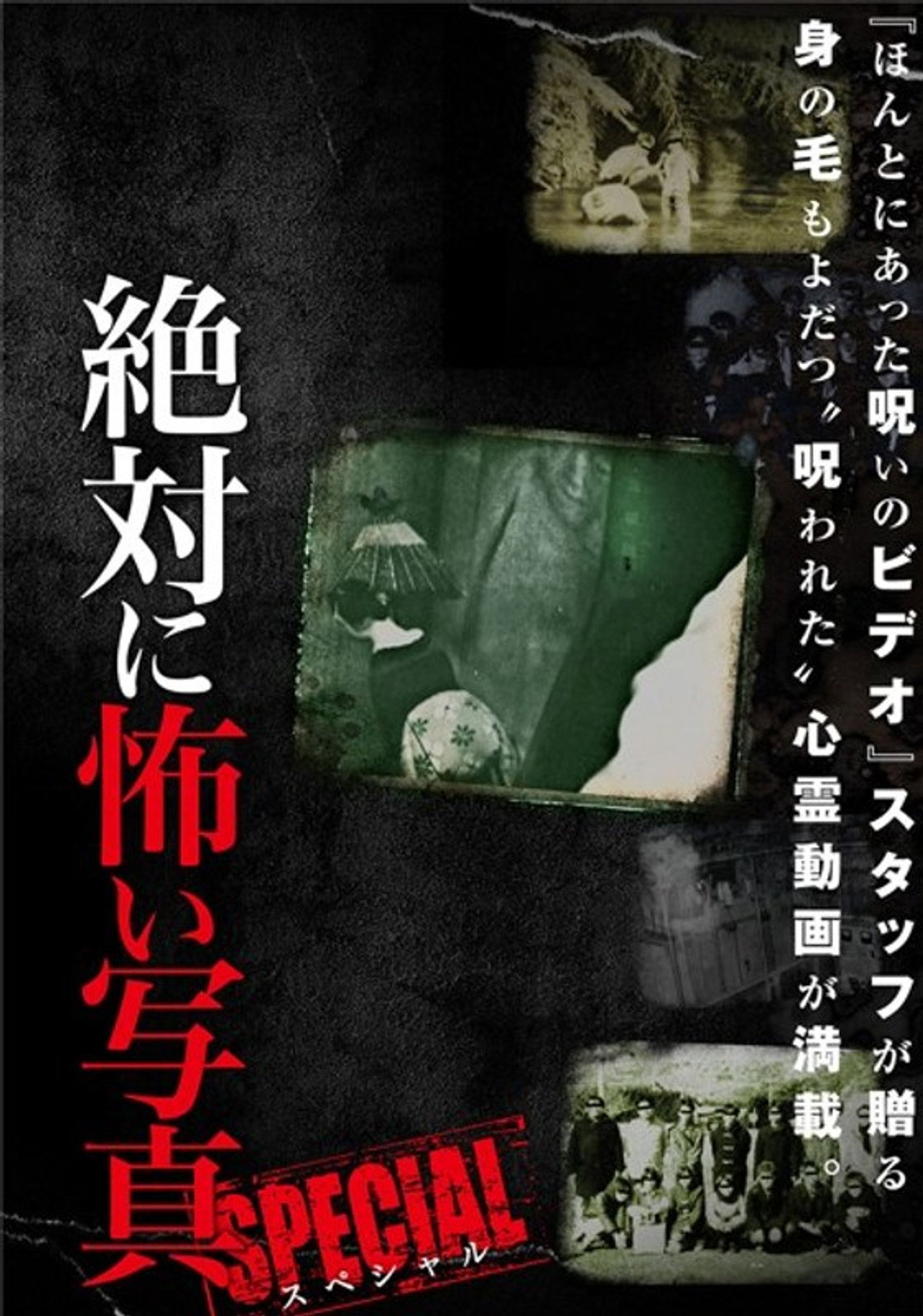 絶対に怖い写真 スペシャル filmaffisch