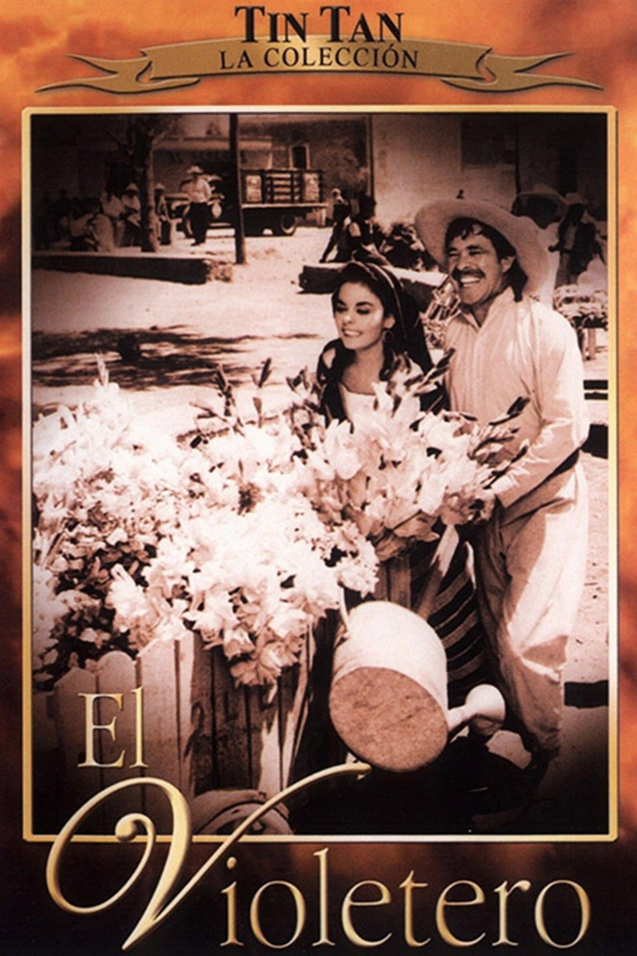 El Violetero filmaffisch