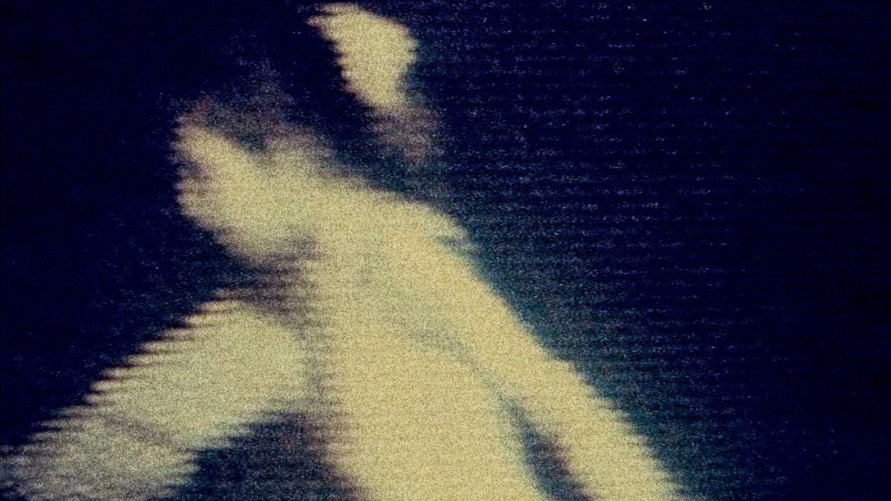 Julien Donkey-Boy backdrop