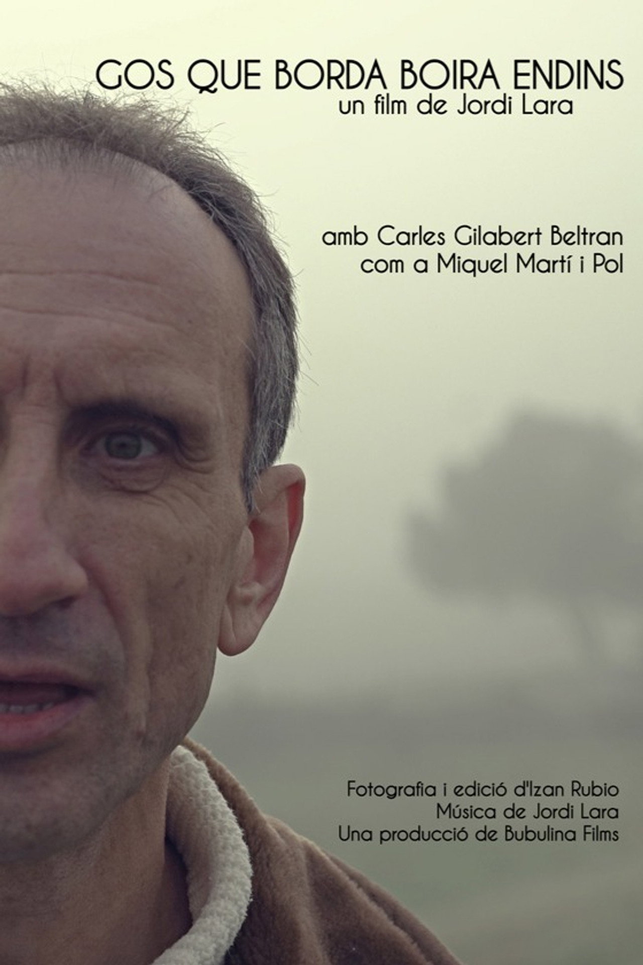 Gos que borda boira endins filmaffisch