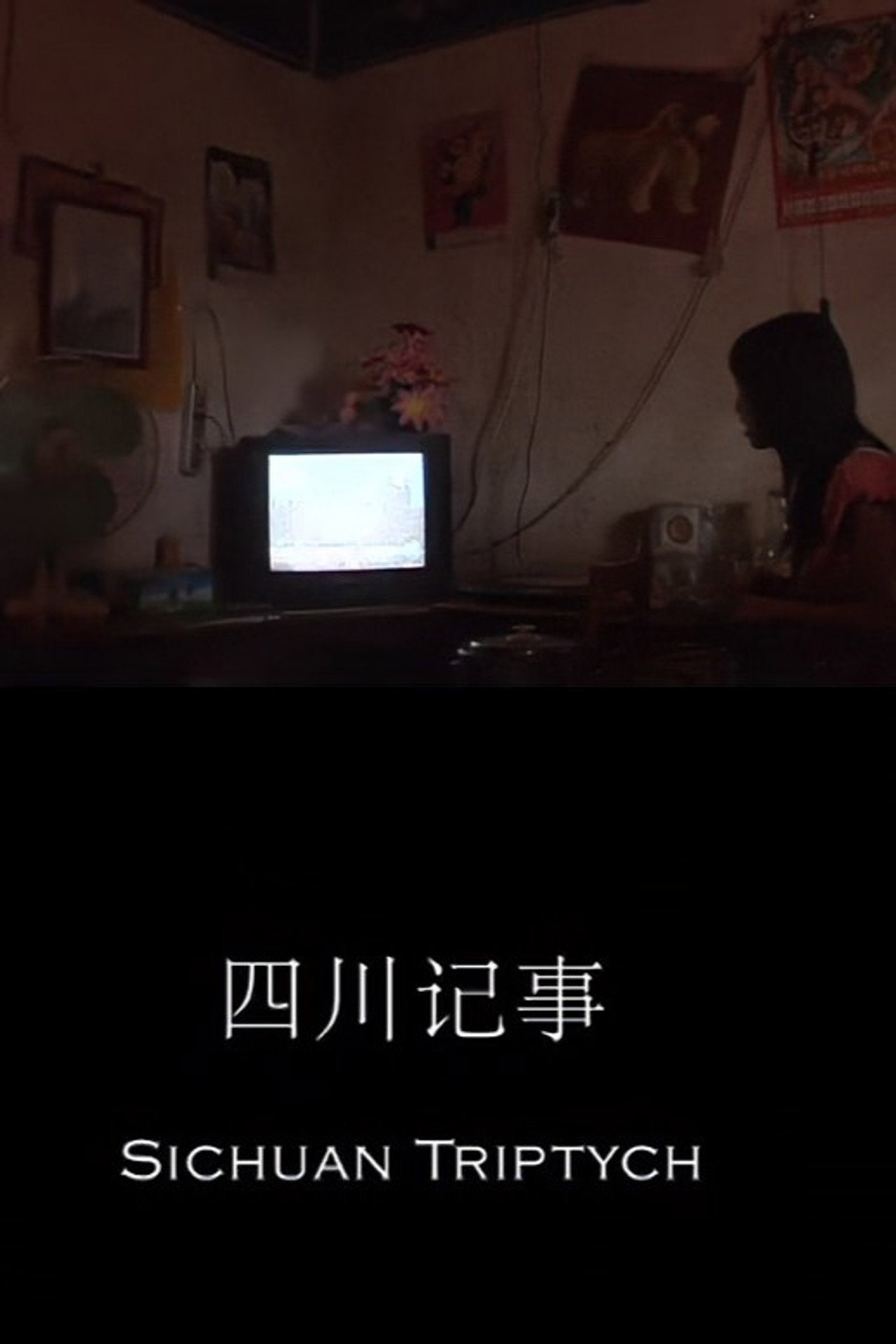 四川记事 filmaffisch