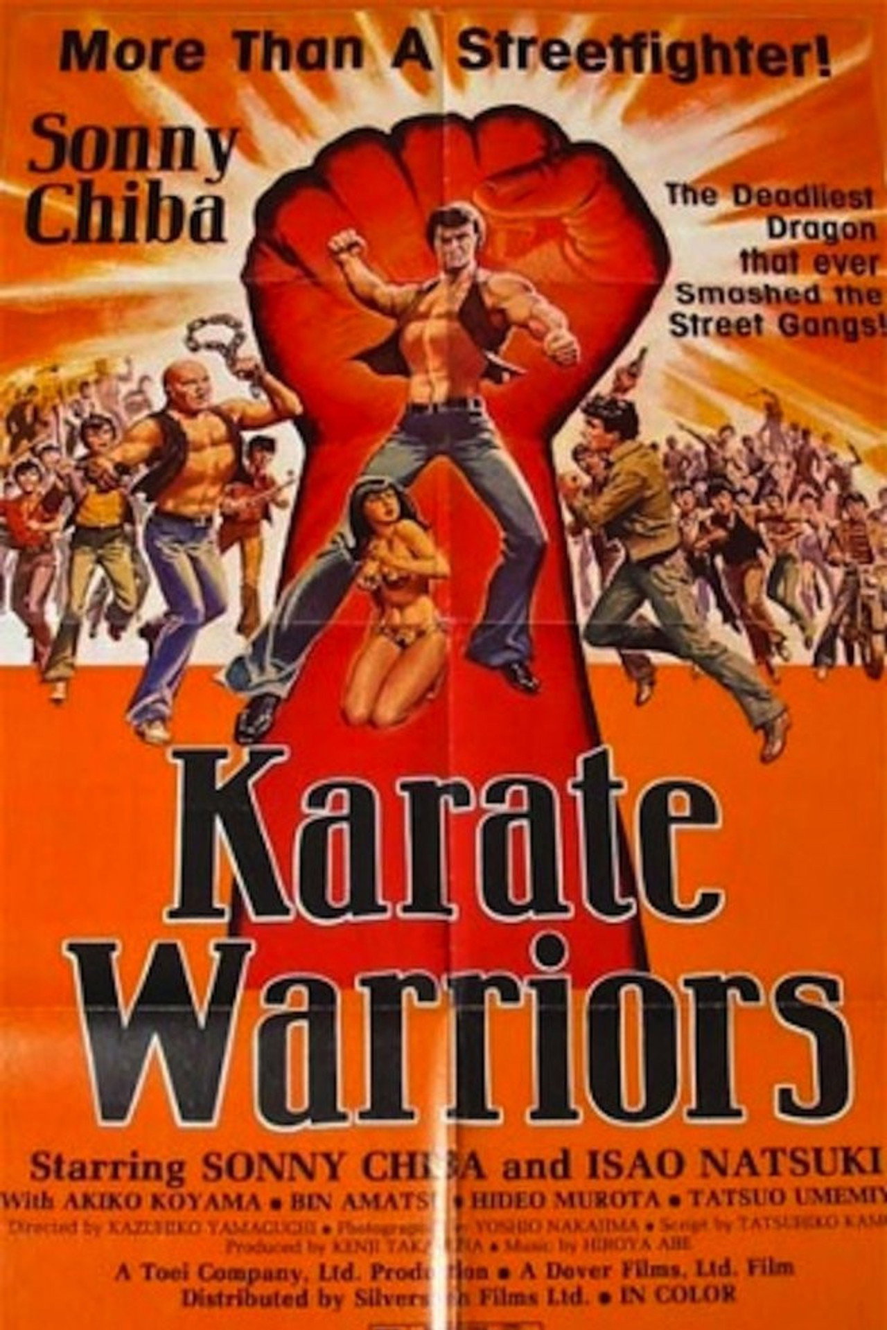 Karate harcos – plakát 6