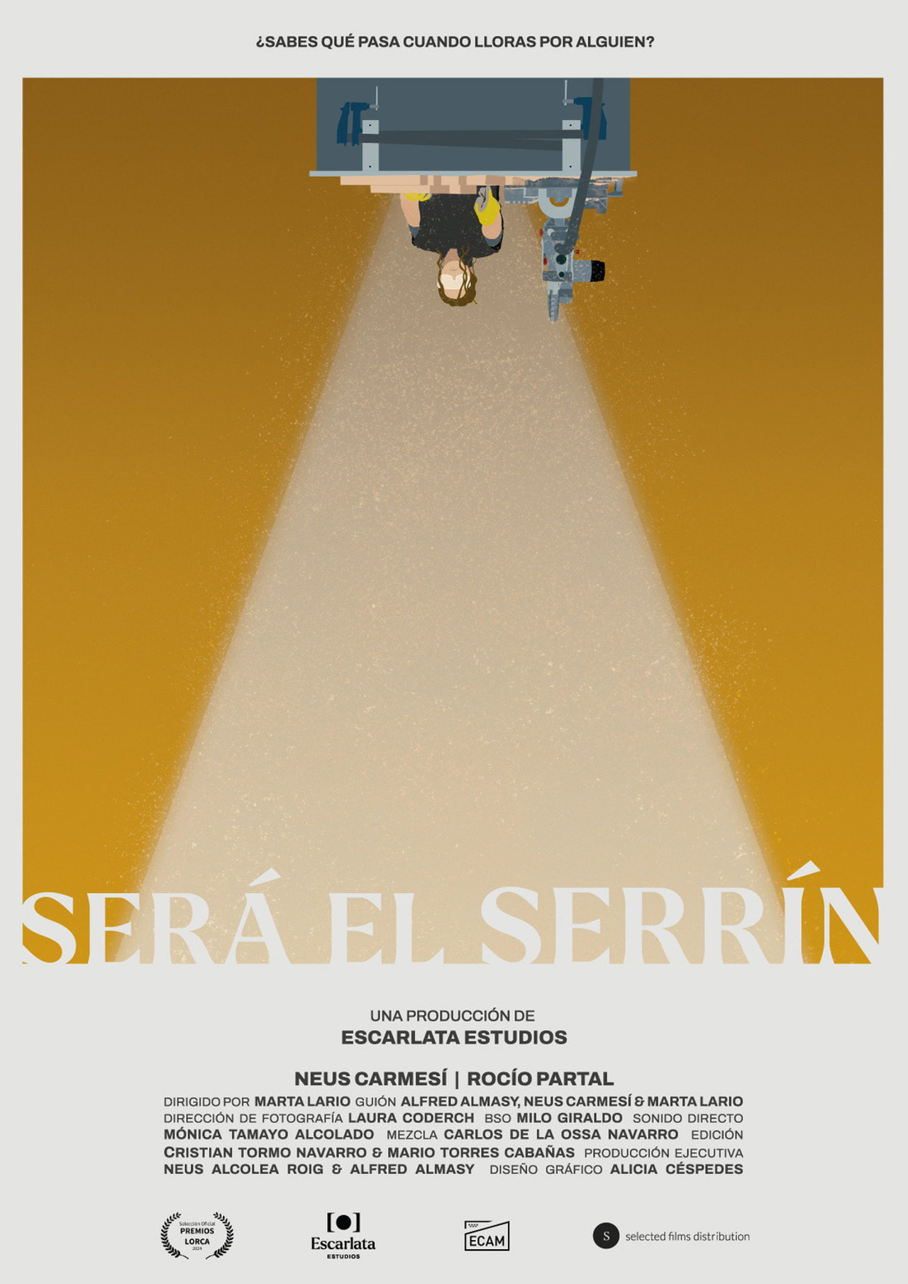 Será el serrín