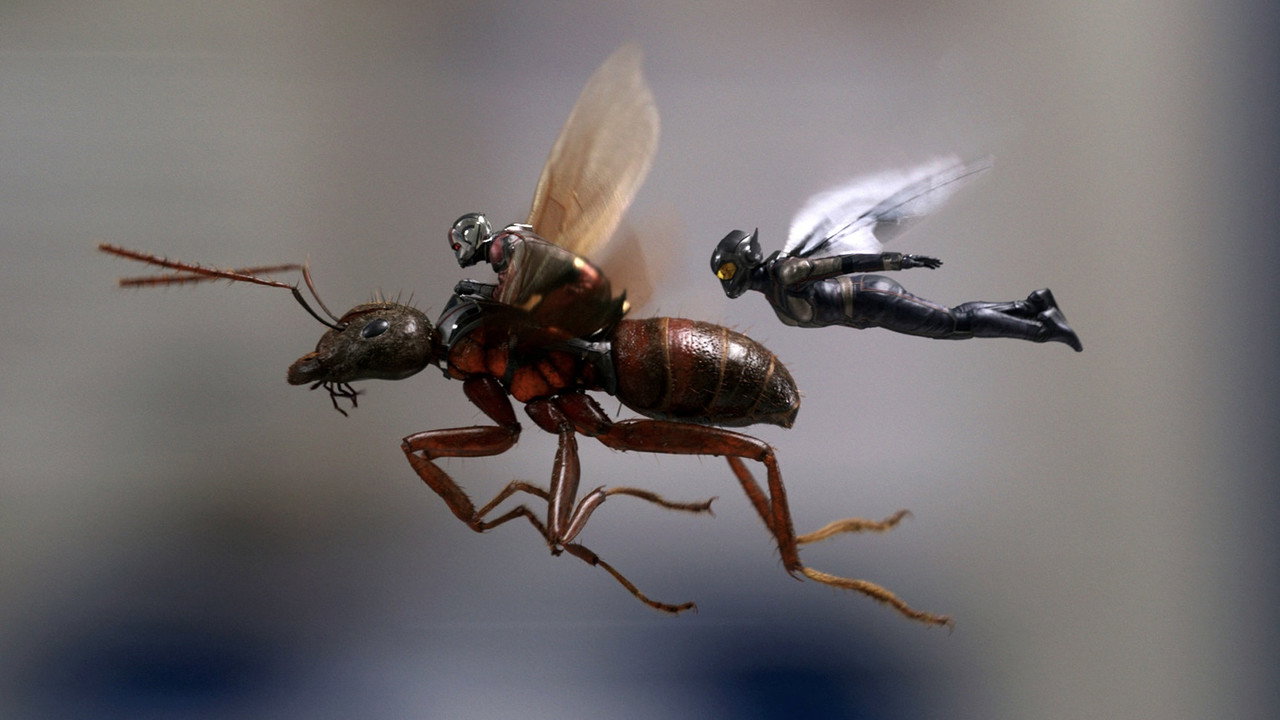 Ant-Man and the Wasp background 64