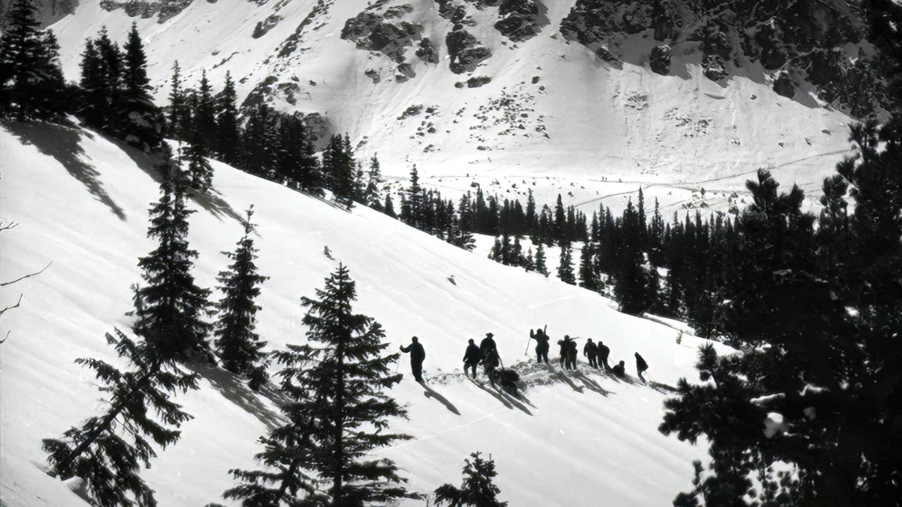 title image
