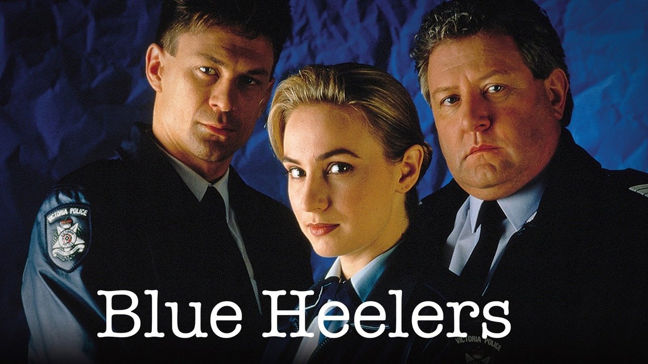 Blue Heelers