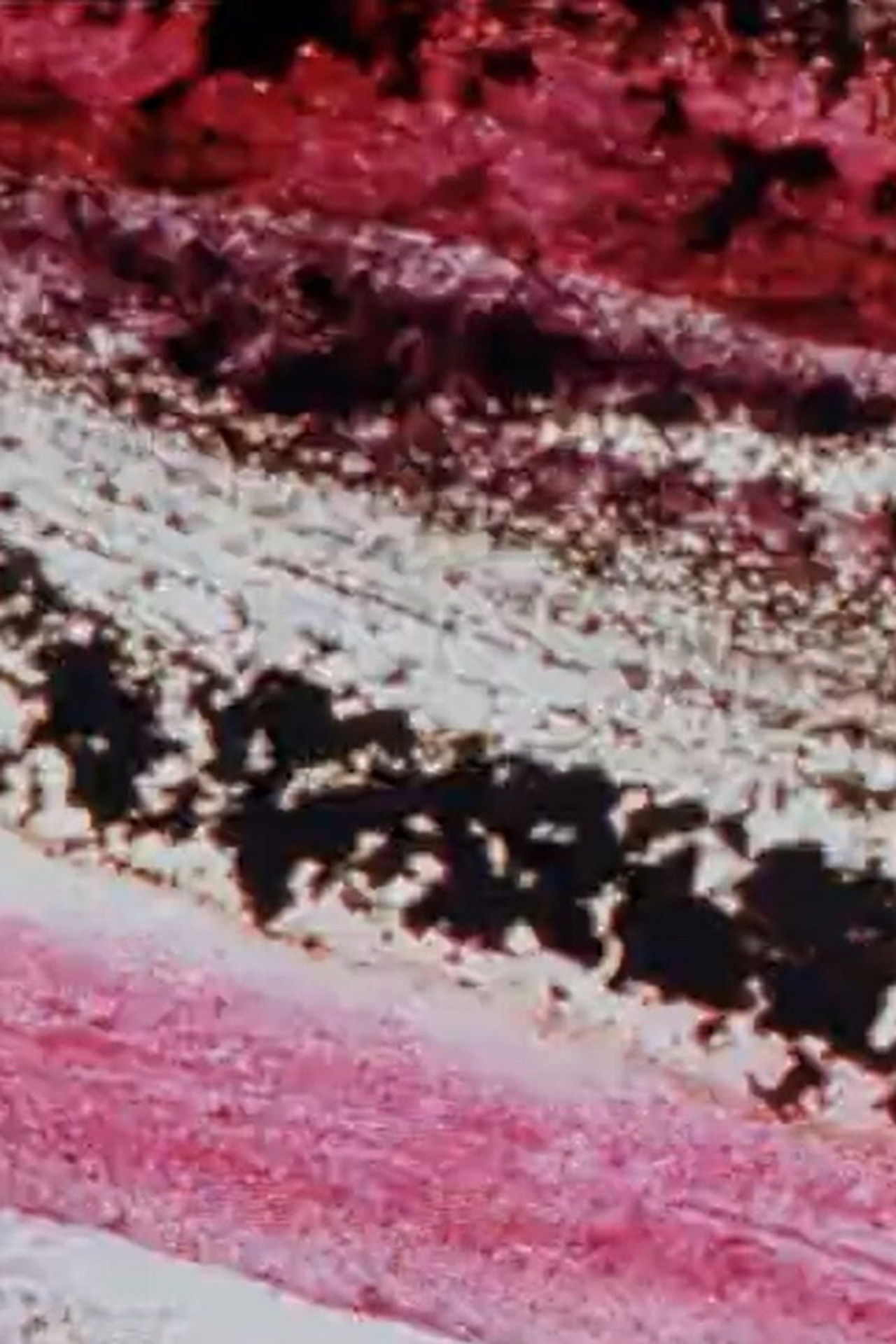 Retour d'enfance Backdrop