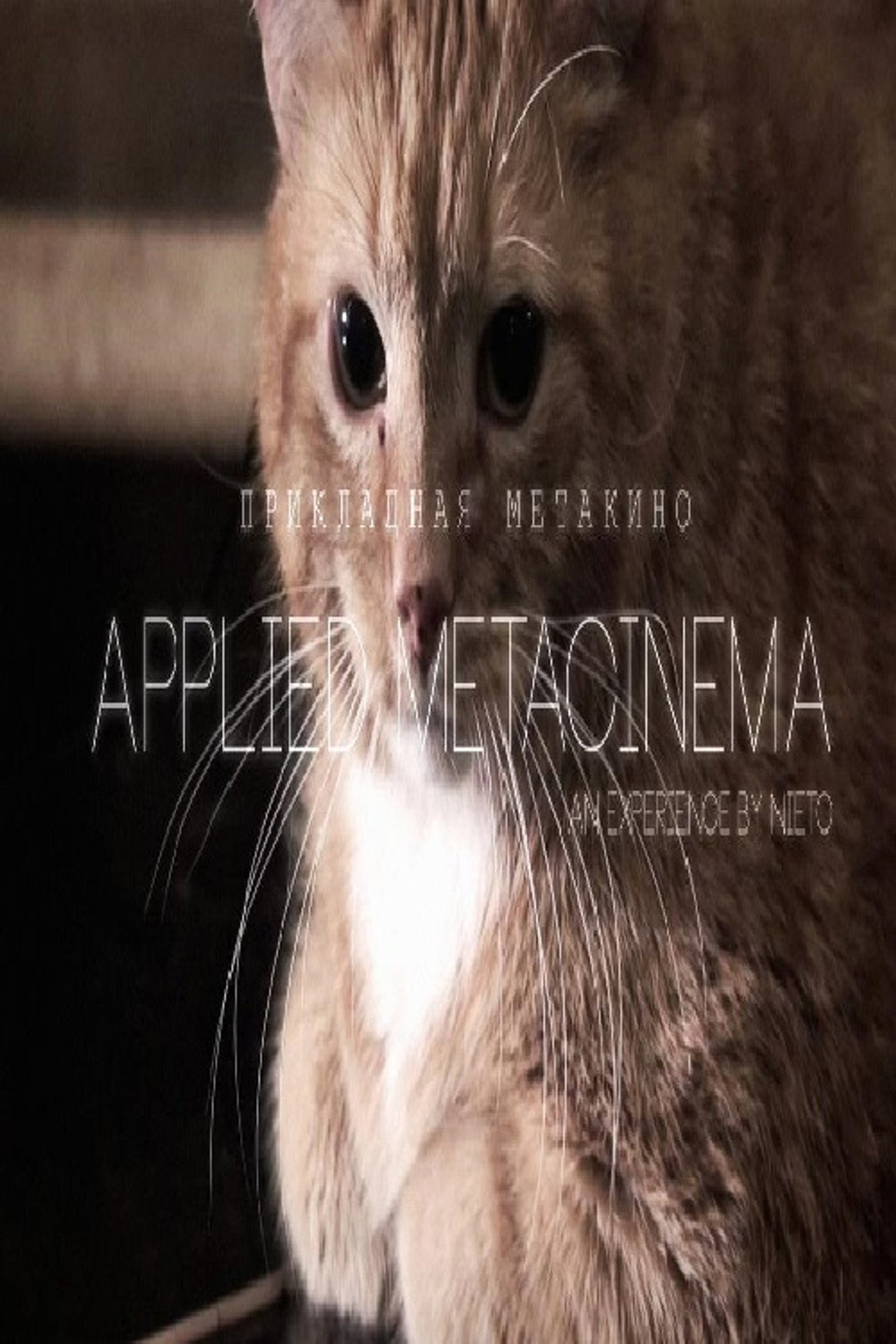 Metacinema appliqué filmaffisch