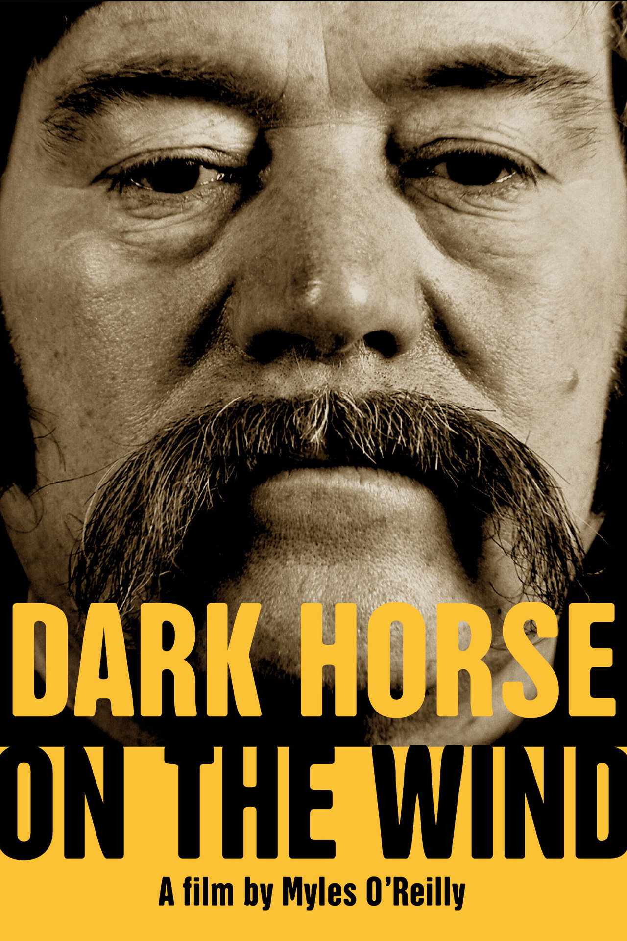 Dark Horse on the Wind filmaffisch