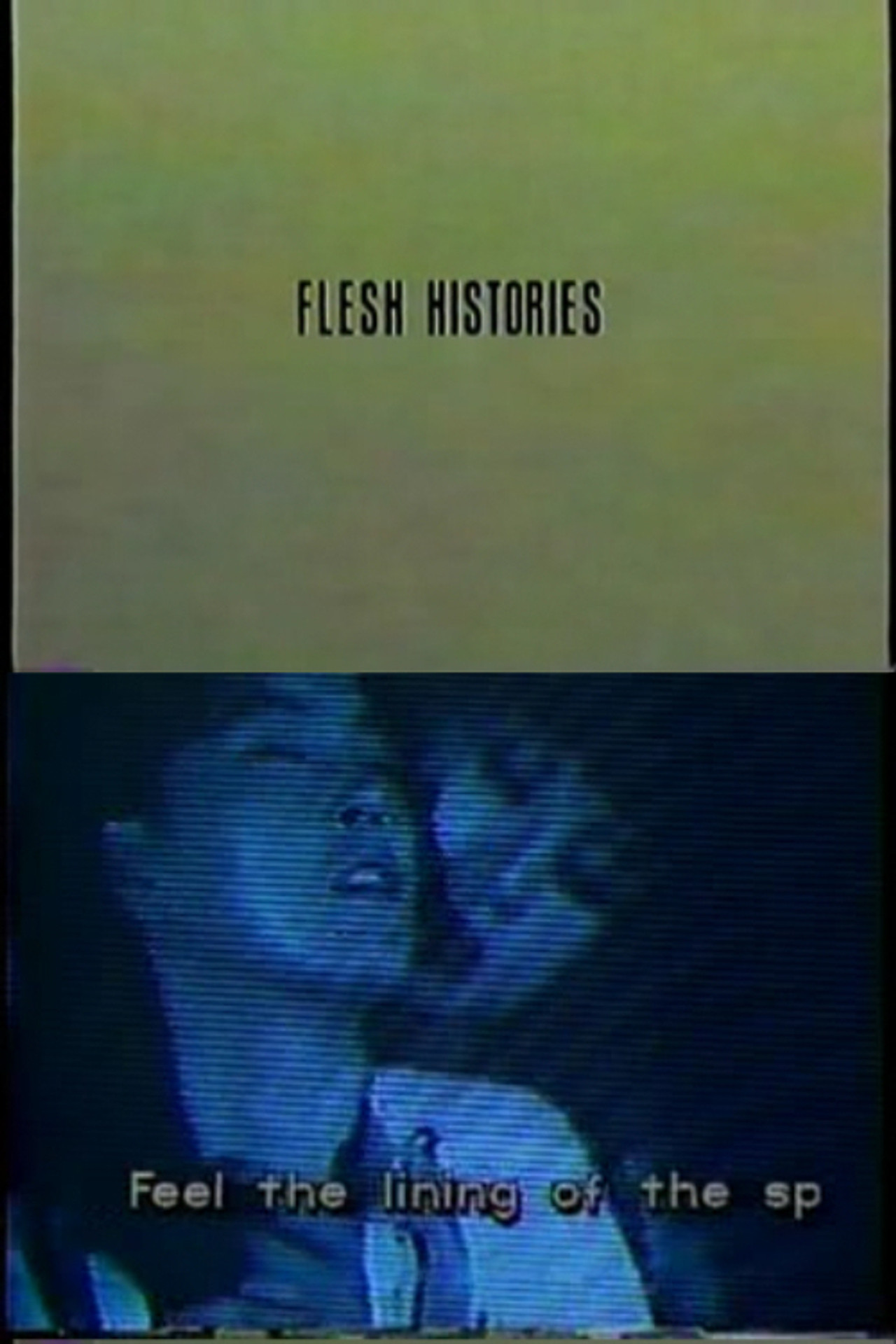 Flesh Histories filmaffisch