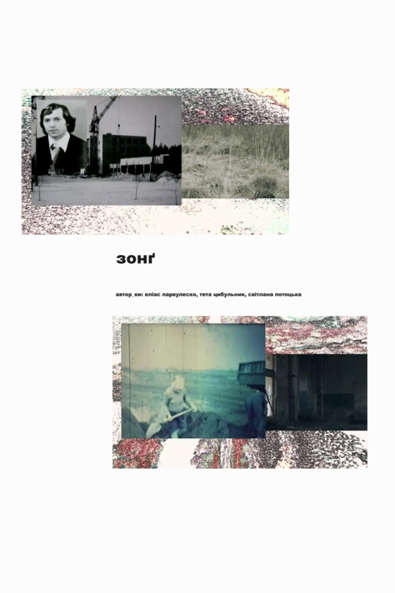 Zong (2020)