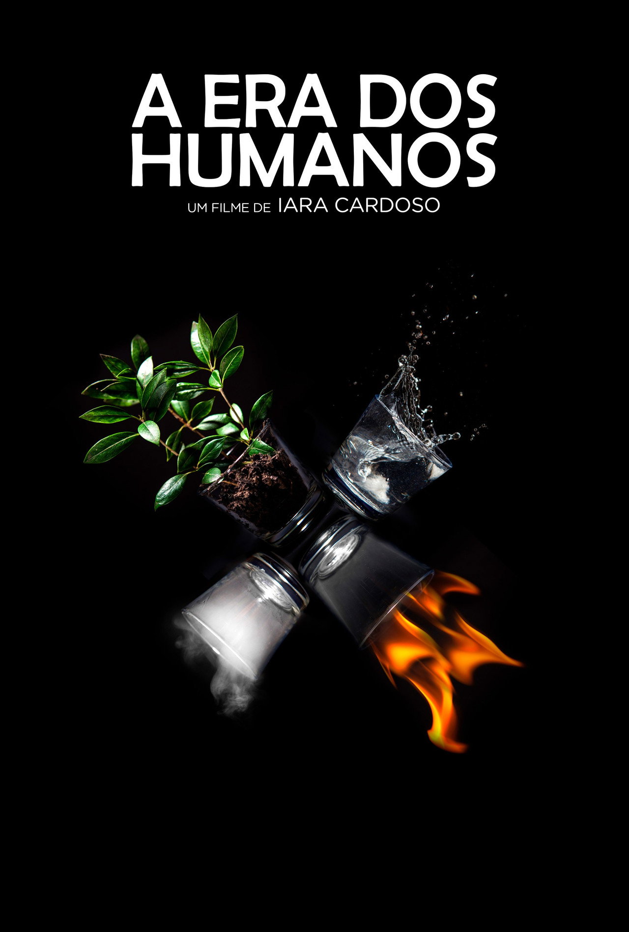 A Era dos Humanos