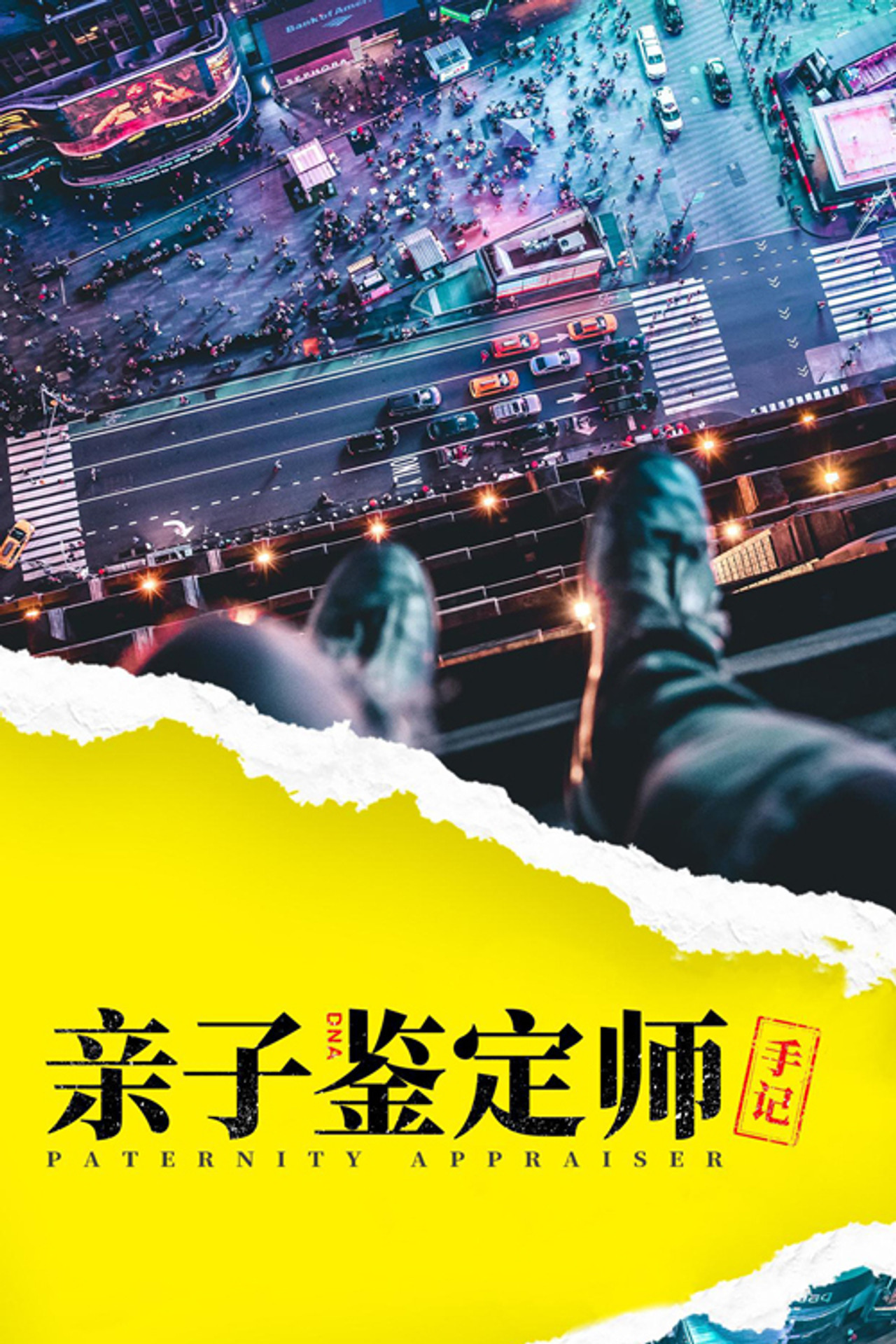 亲子鉴定师手记 affisch